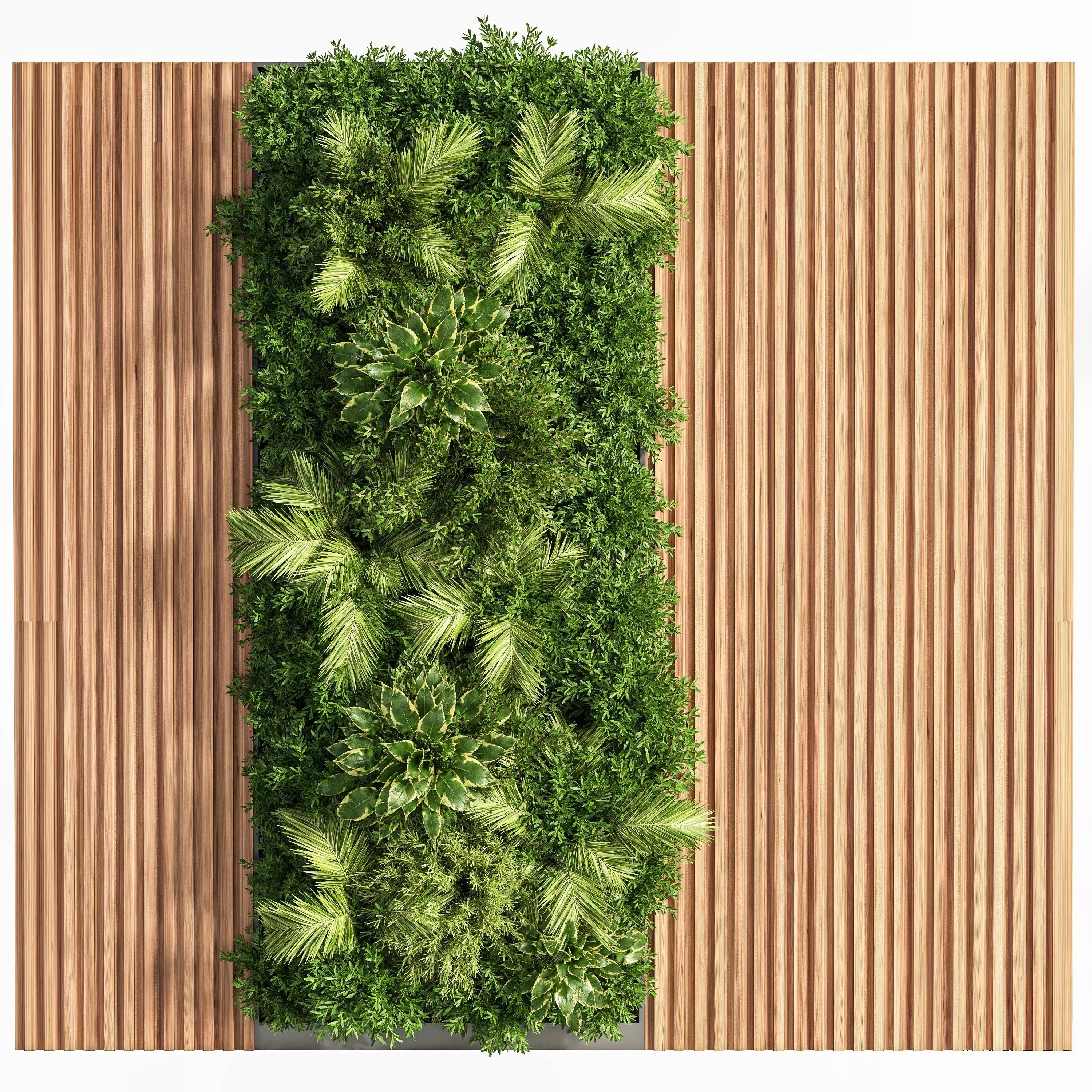 Wooden planks and vertical garden 03 3D model_0