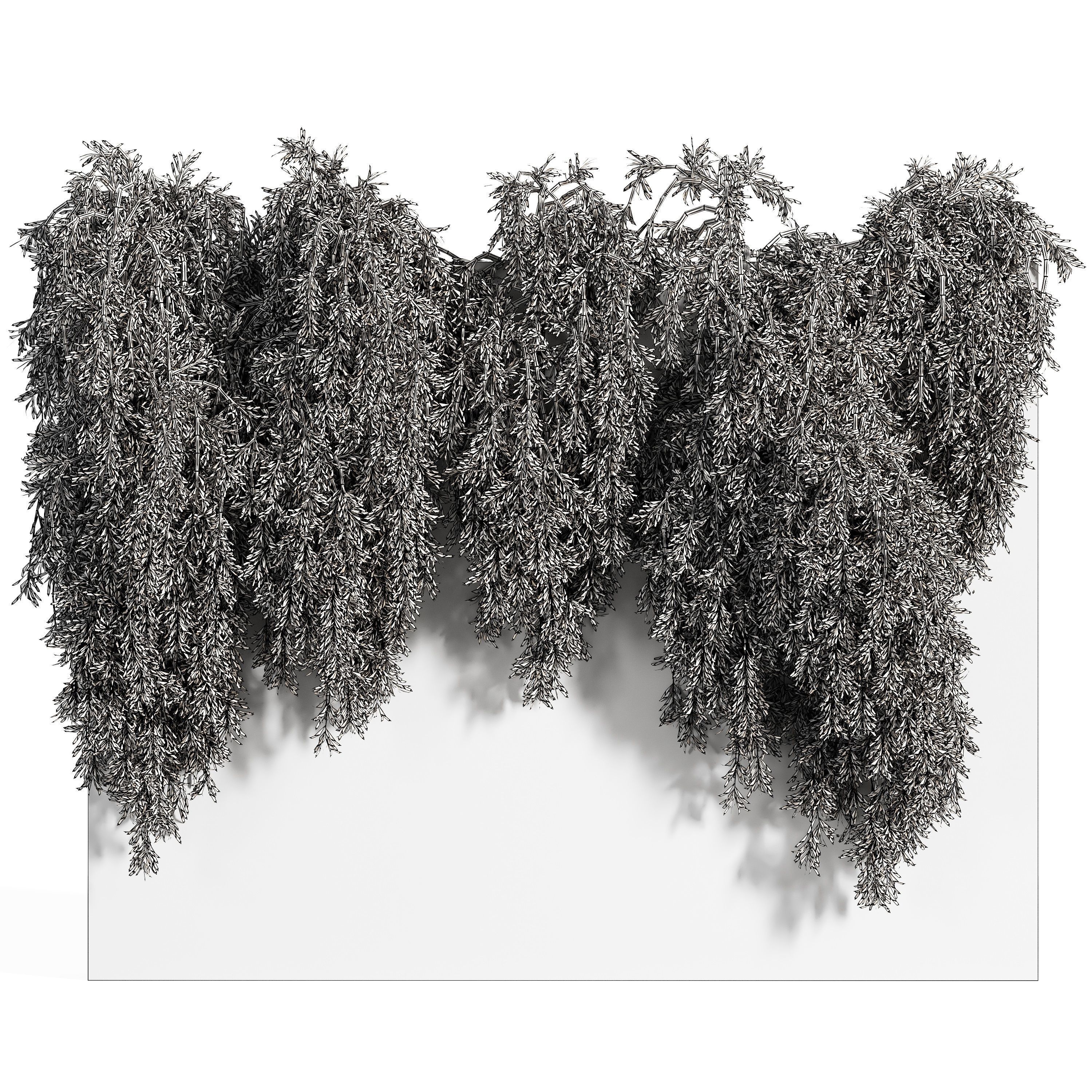 Ivy wall 01 3D model_2