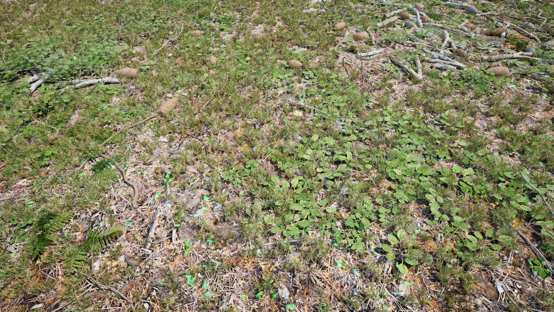 Ground Cover Foliage Low-poly 3D model_9