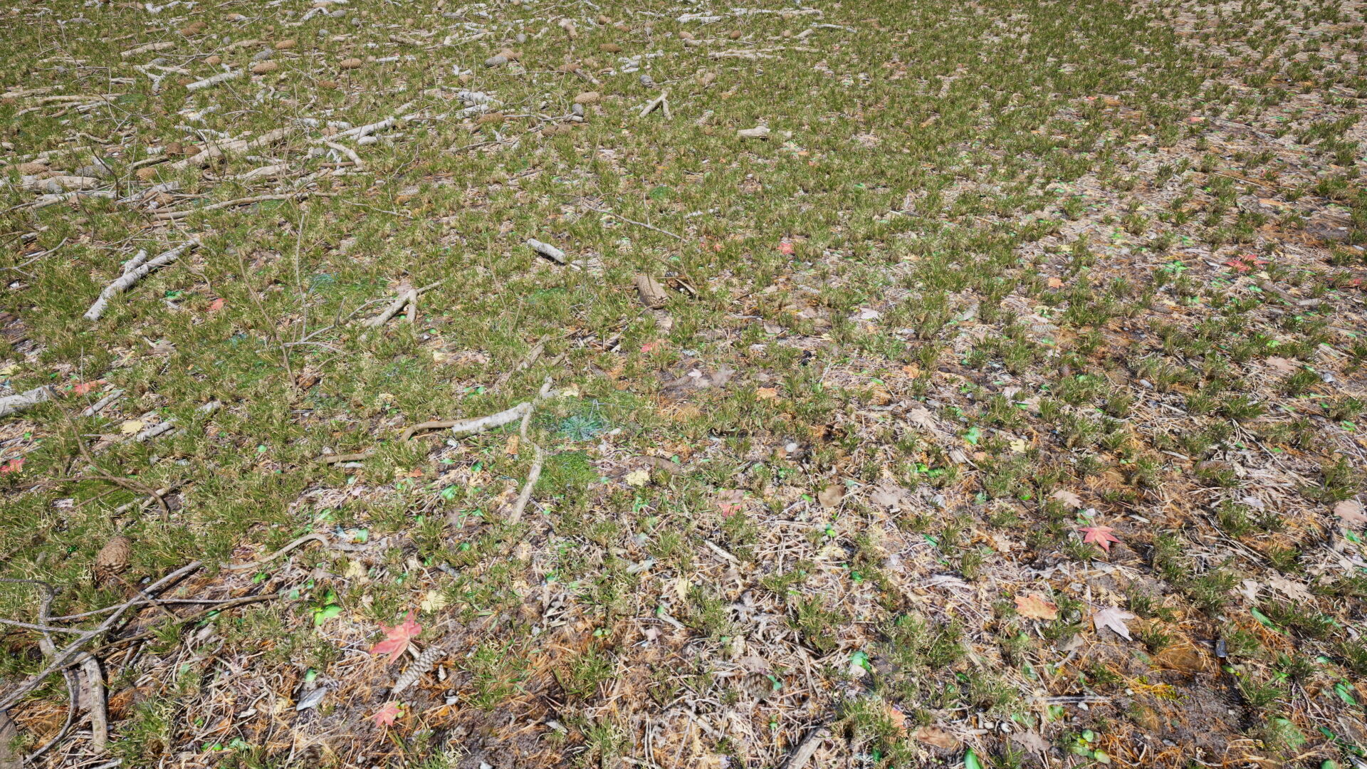 Ground Cover Foliage Low-poly 3D model_5