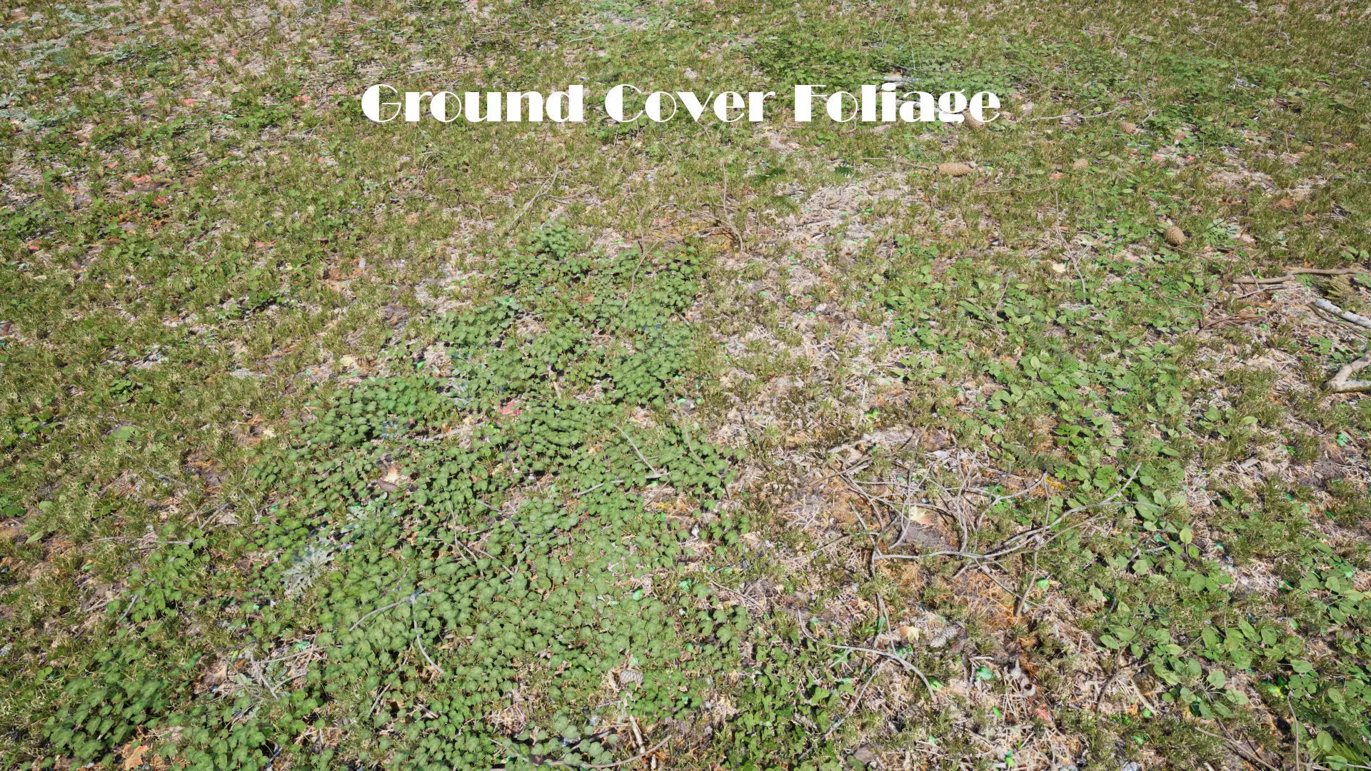 Ground Cover Foliage Low-poly 3D model_0