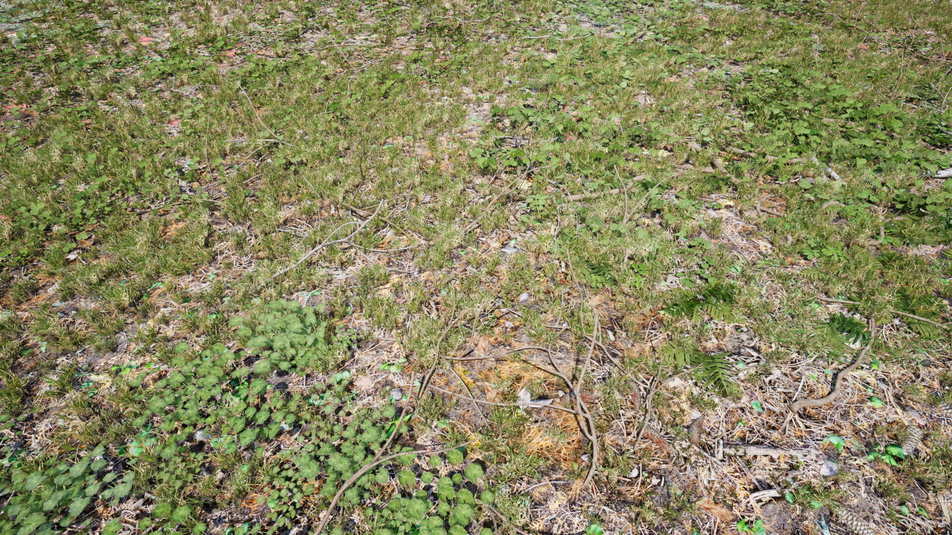 Ground Cover Foliage Low-poly 3D model_3