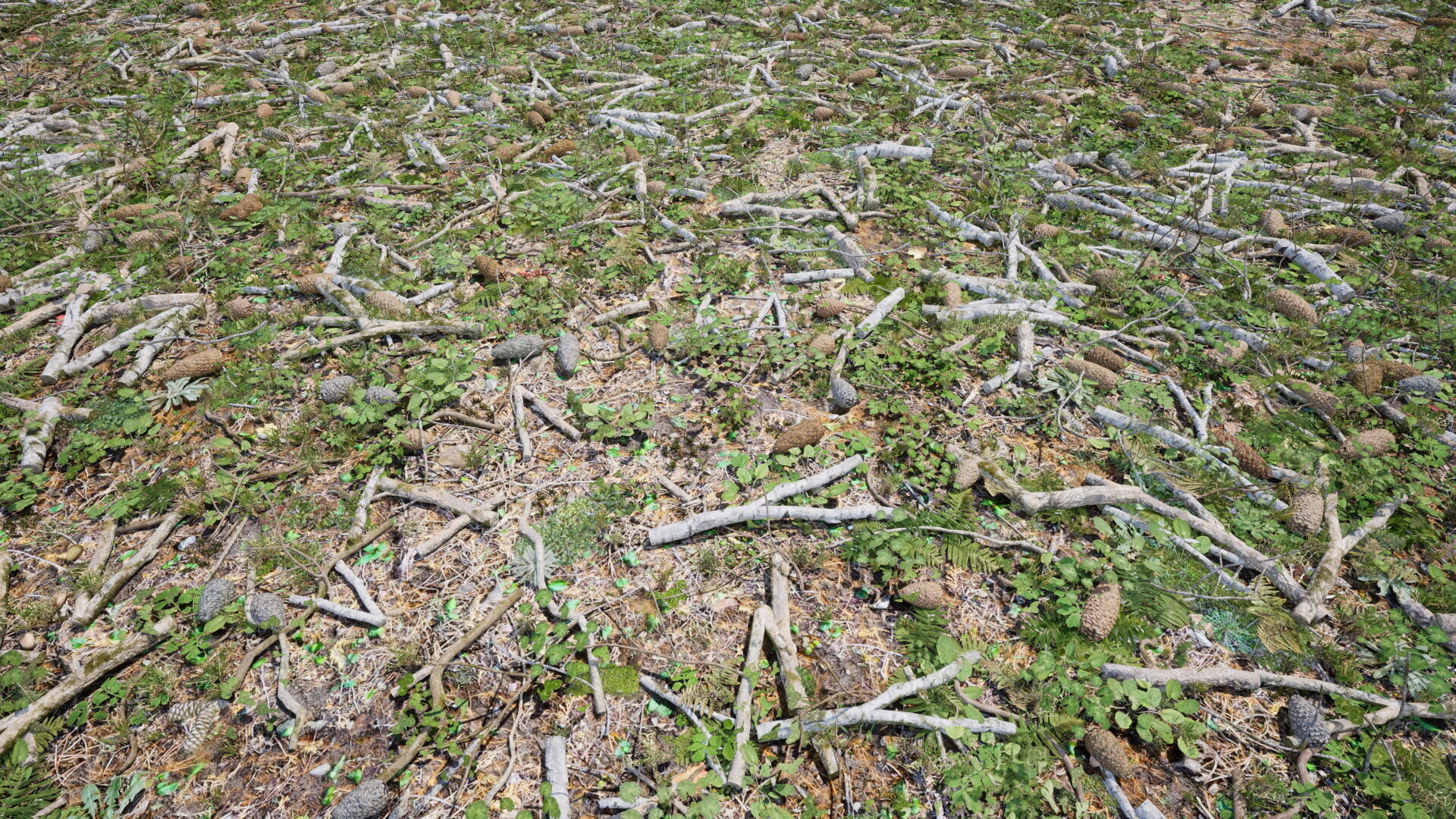 Ground Cover Foliage Low-poly 3D model_7