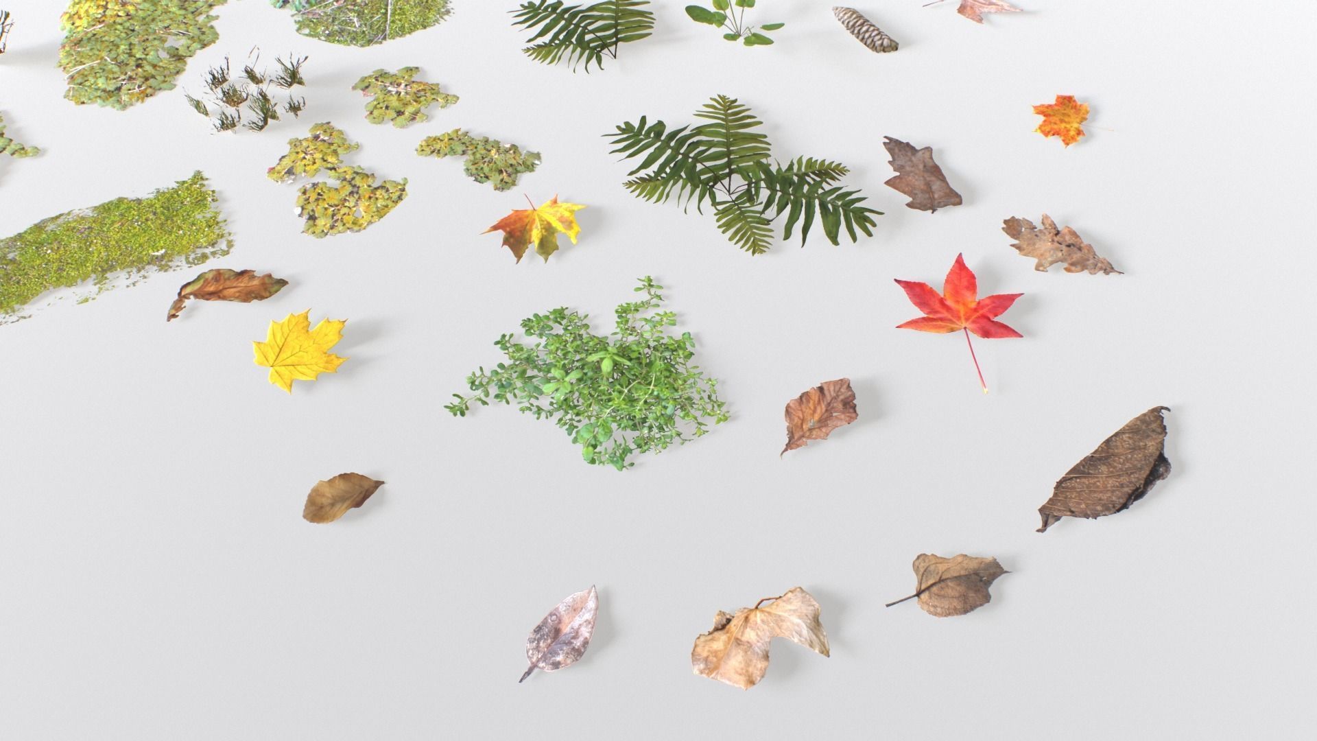 Ground Cover Foliage Low-poly 3D model_19