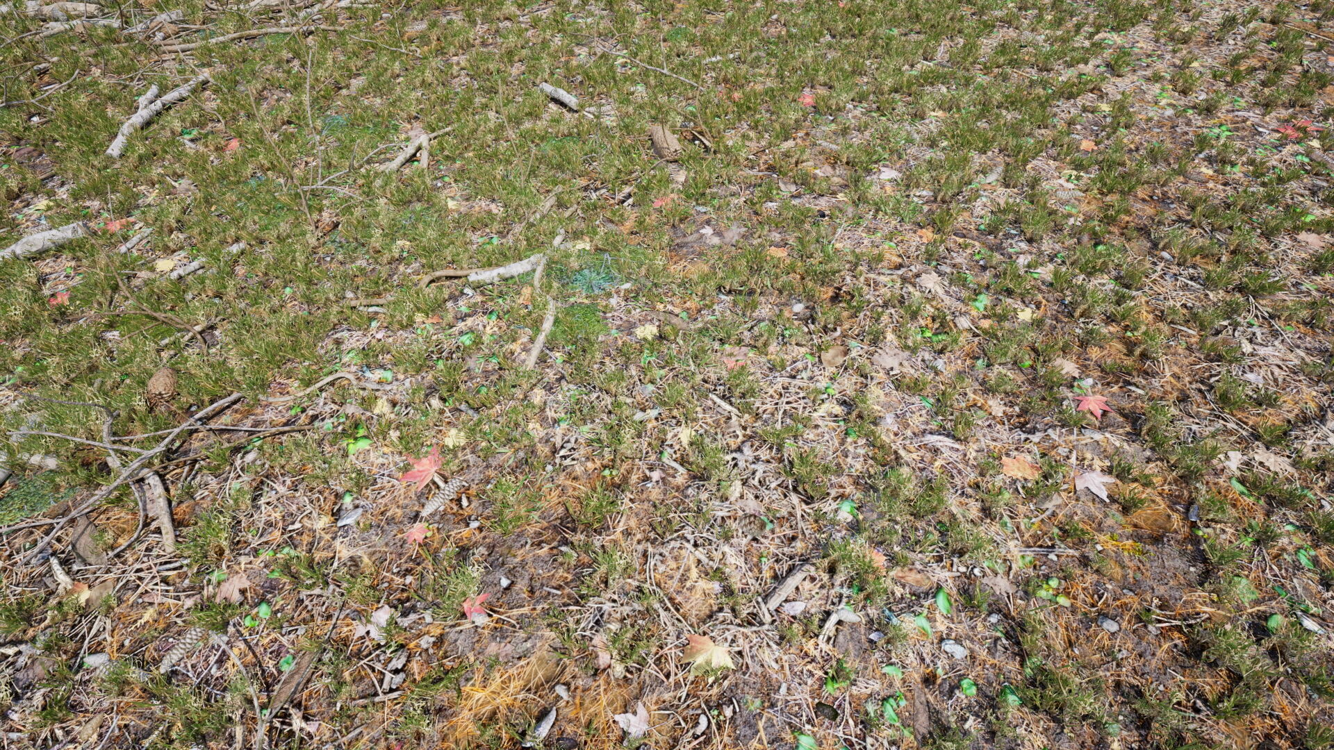 Ground Cover Foliage Low-poly 3D model_1