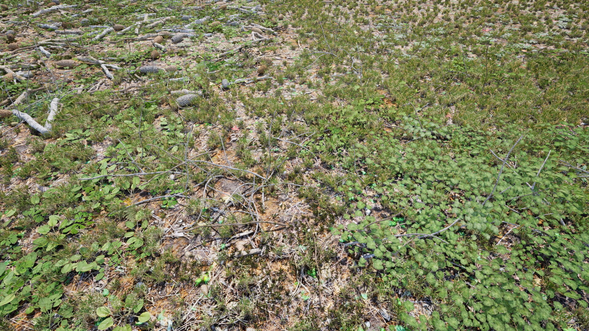 Ground Cover Foliage Low-poly 3D model_10