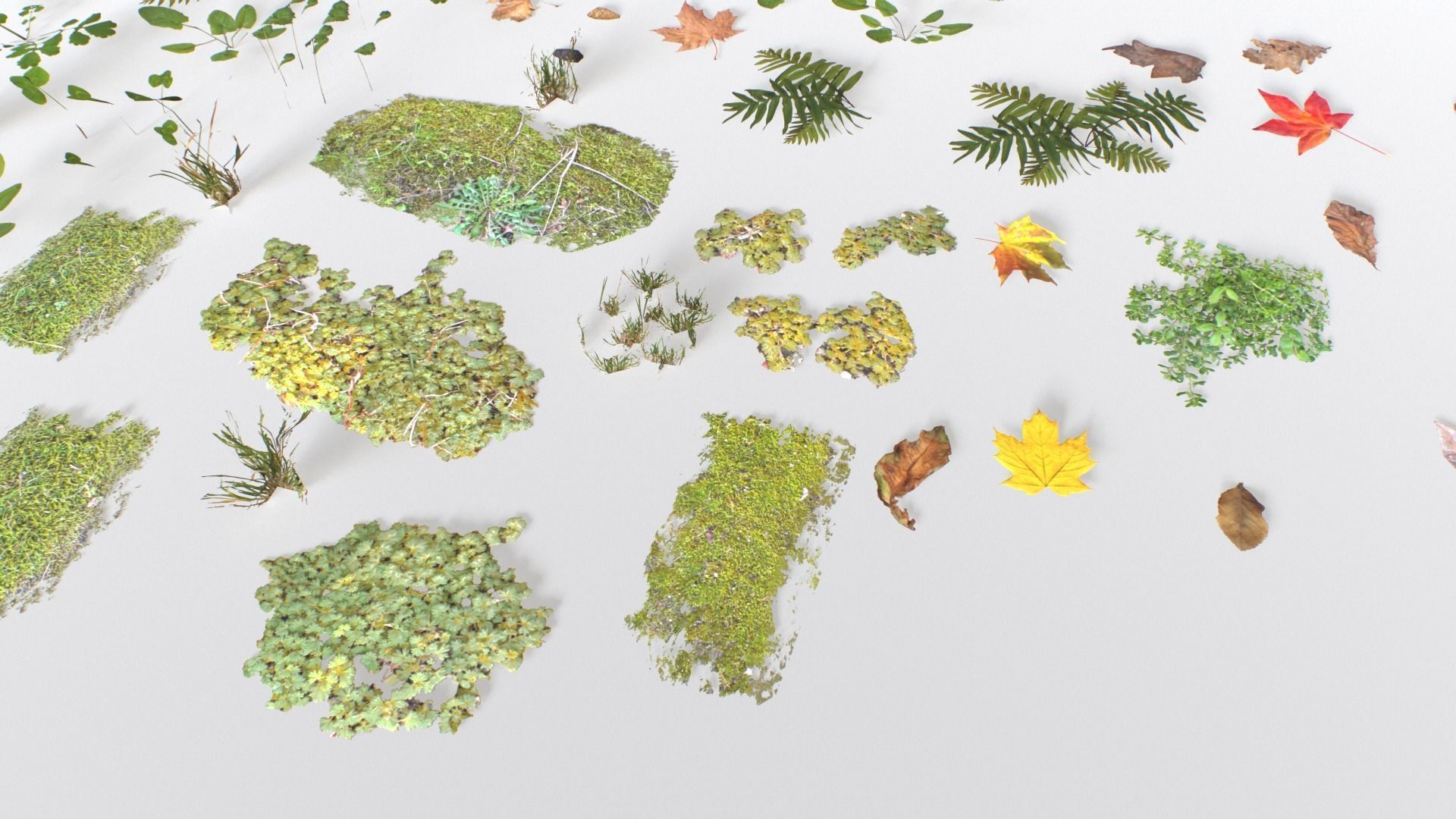 Ground Cover Foliage Low-poly 3D model_18
