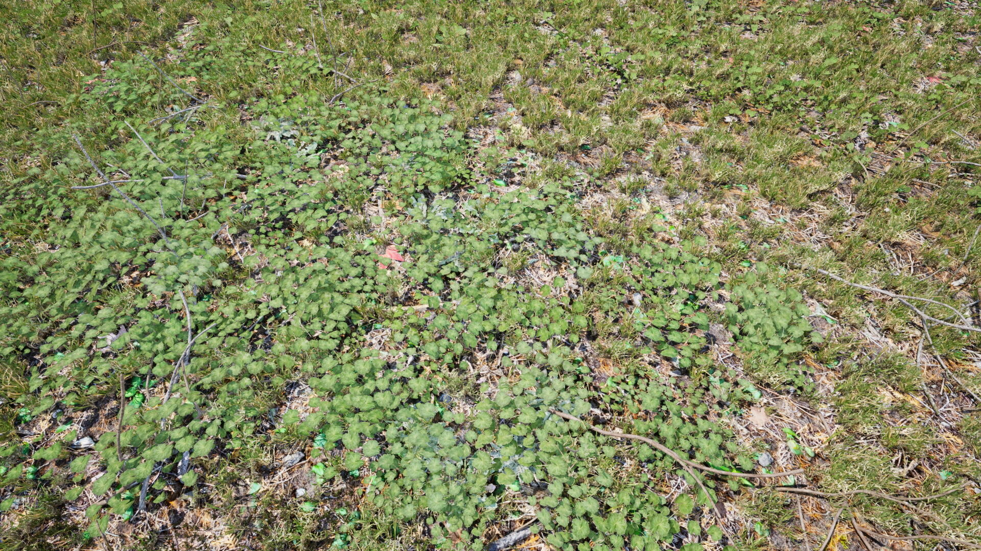 Ground Cover Foliage Low-poly 3D model_4