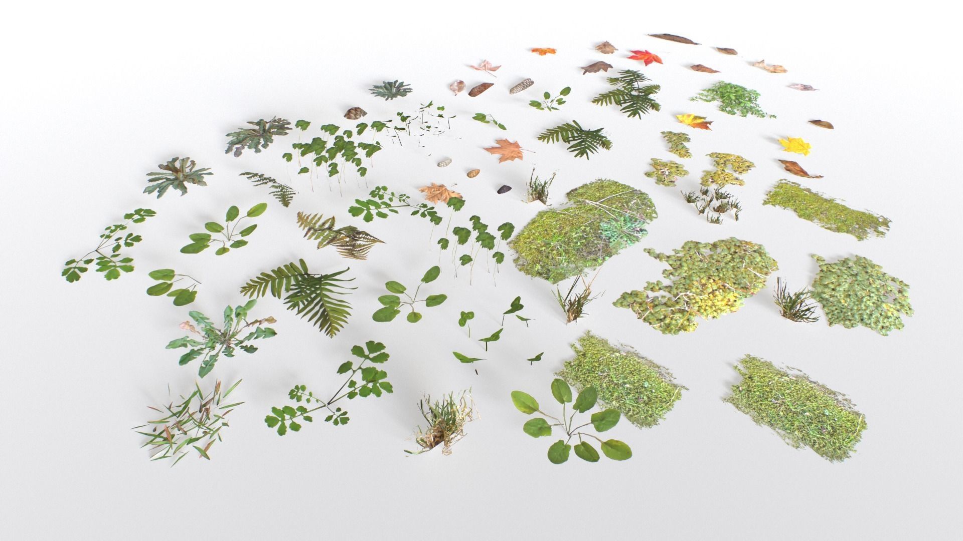 Ground Cover Foliage Low-poly 3D model_16