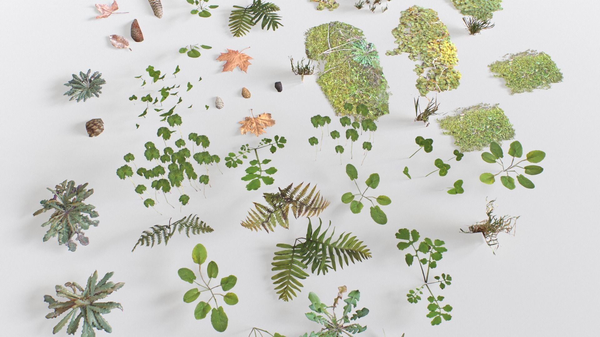 Ground Cover Foliage Low-poly 3D model_21