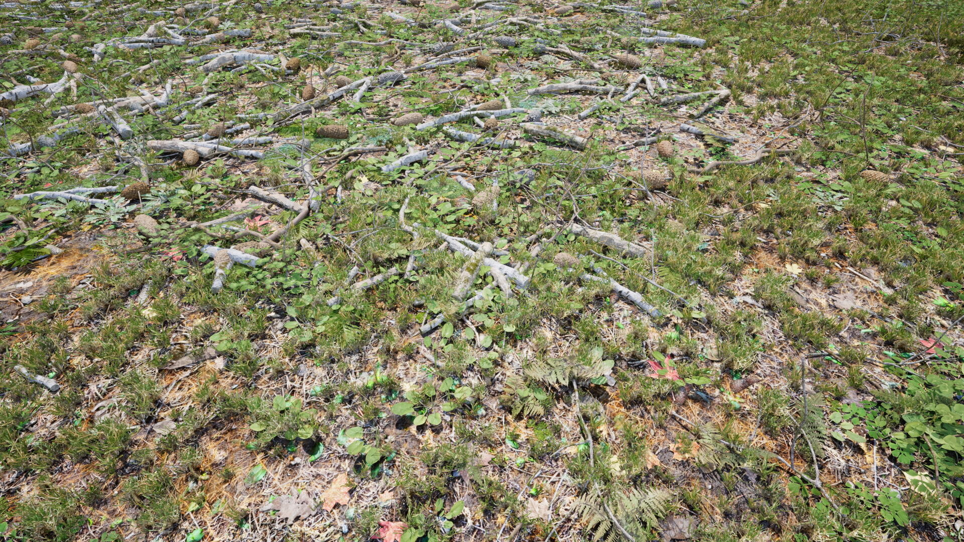 Ground Cover Foliage Low-poly 3D model_12