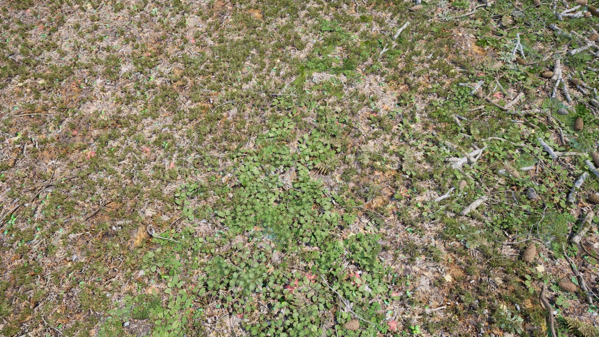 Ground Cover Foliage Low-poly 3D model_13