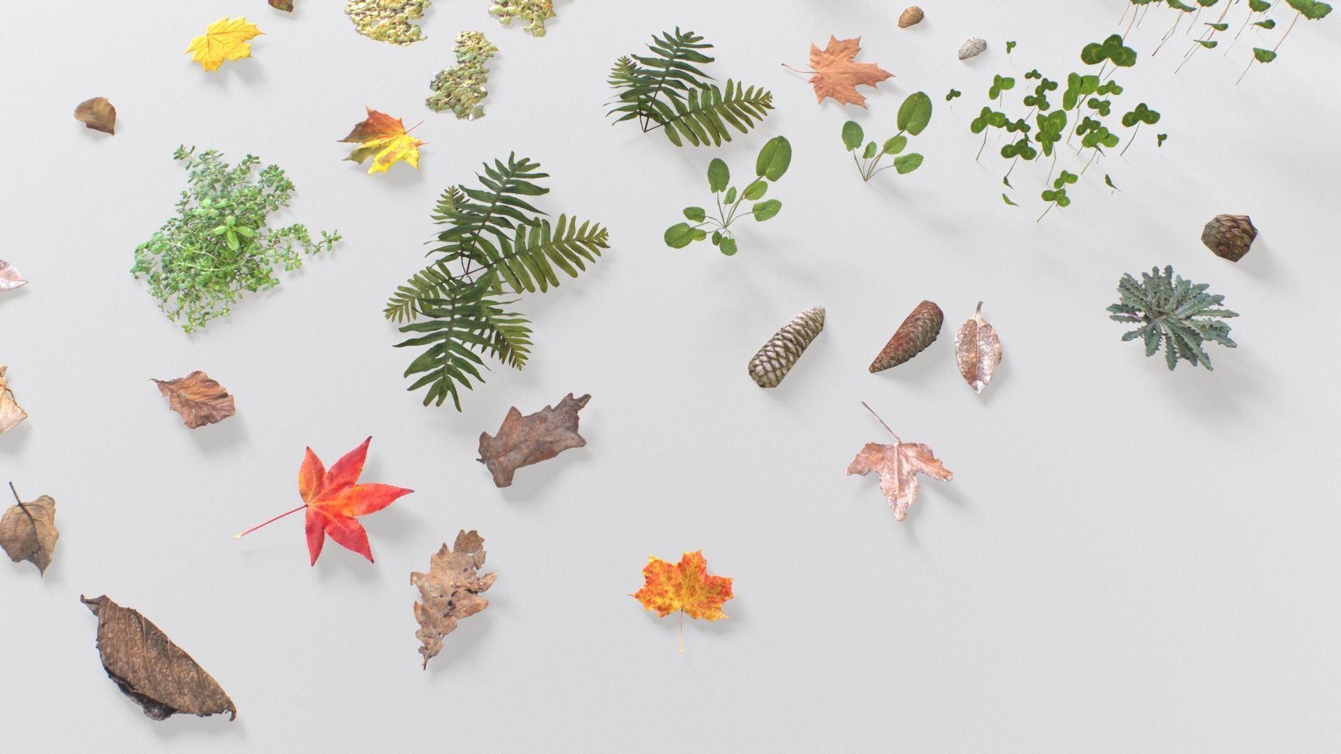 Ground Cover Foliage Low-poly 3D model_15