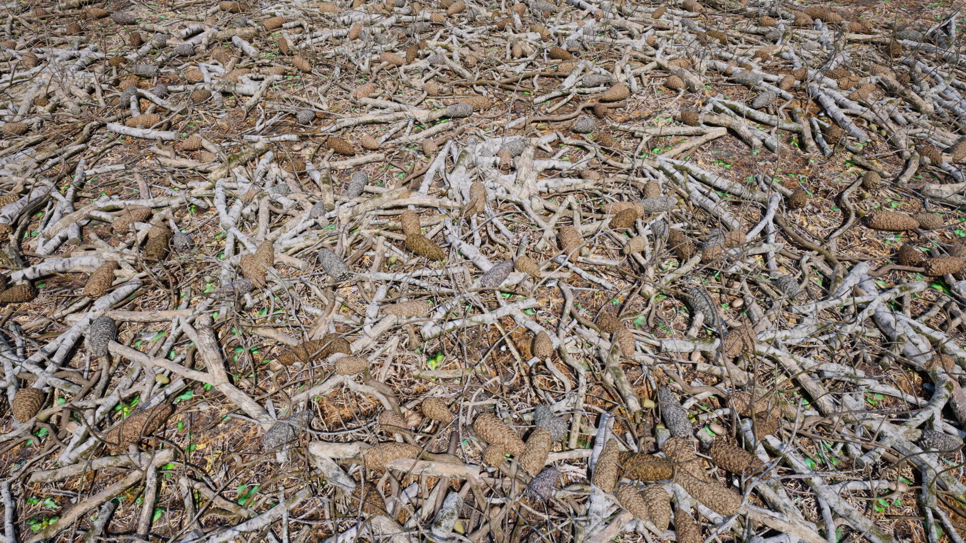 Ground Cover Foliage Low-poly 3D model_11