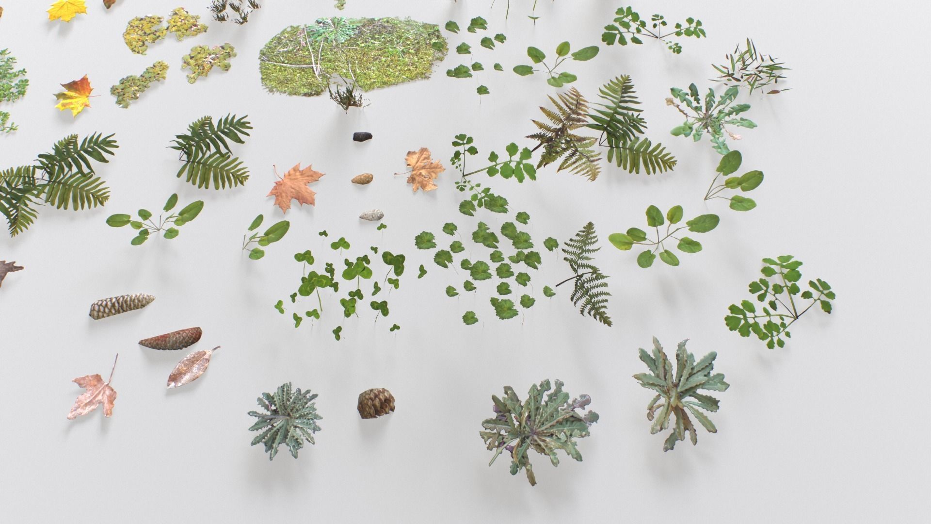 Ground Cover Foliage Low-poly 3D model_14