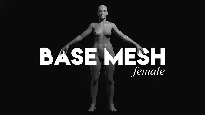 Base Mesh - Female