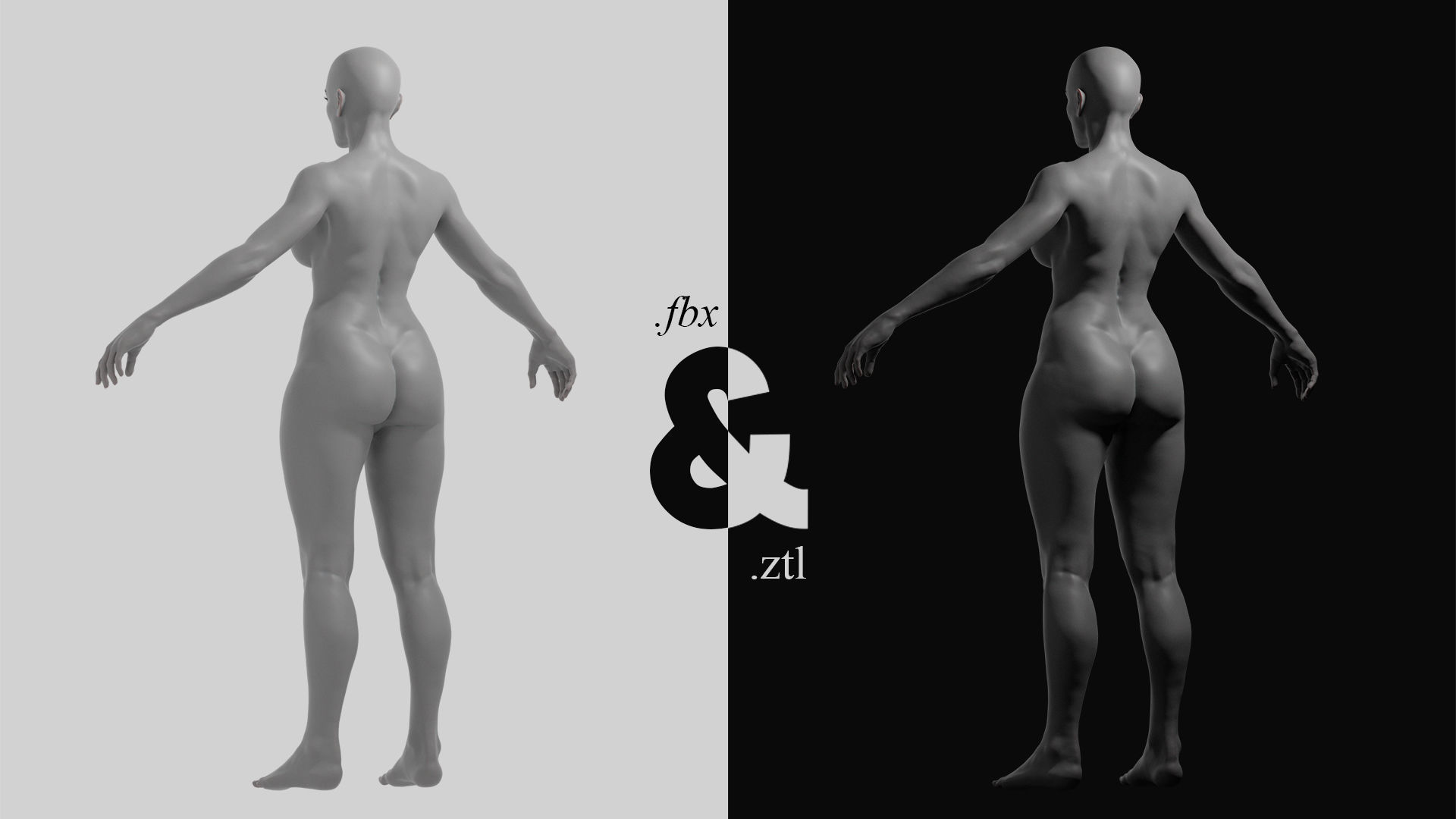 Base Mesh - Female 3D model_2