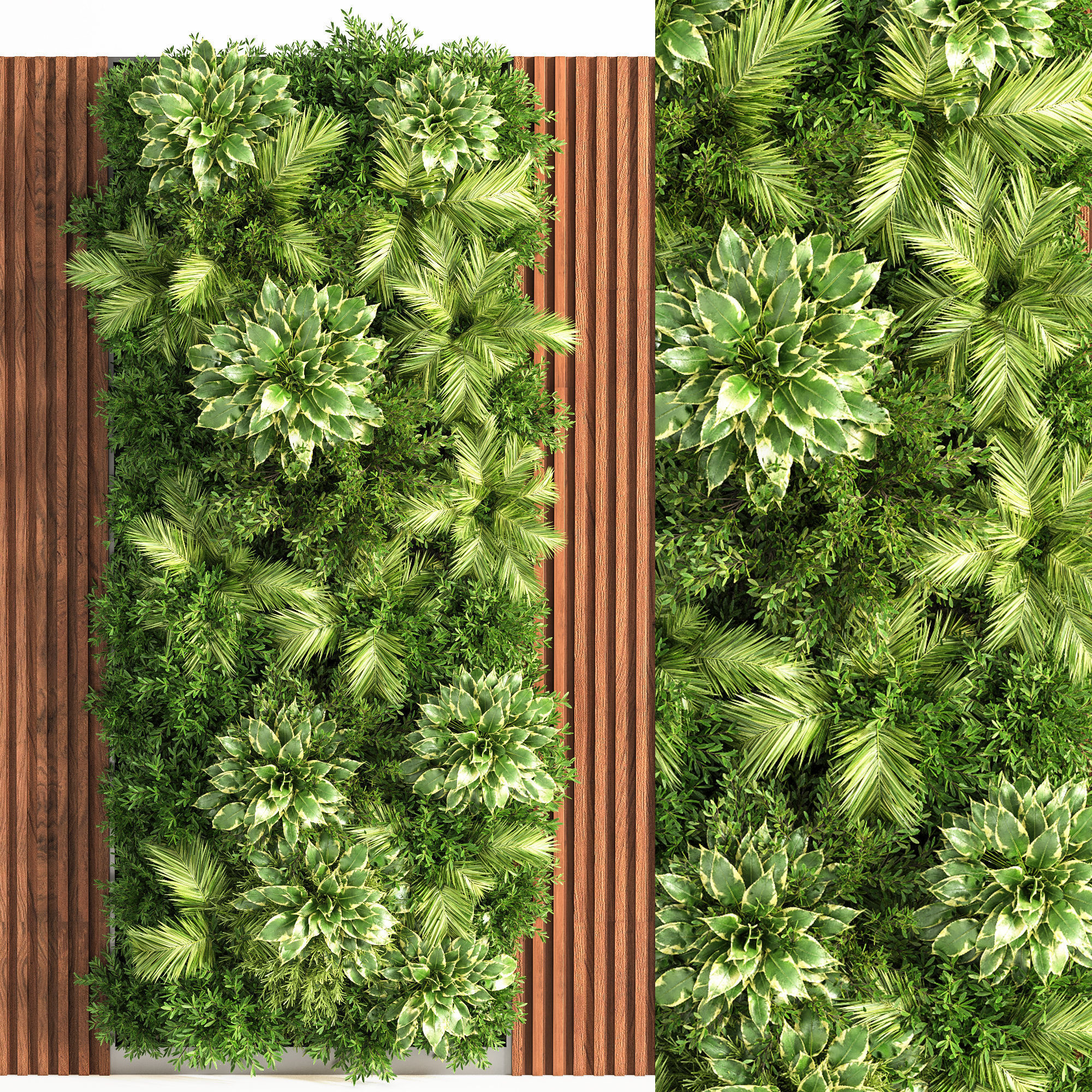 Wooden Planks Vertical Garden and Mosswalls 3D model_2