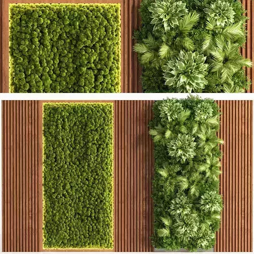 Wooden Planks Vertical Garden and Mosswalls