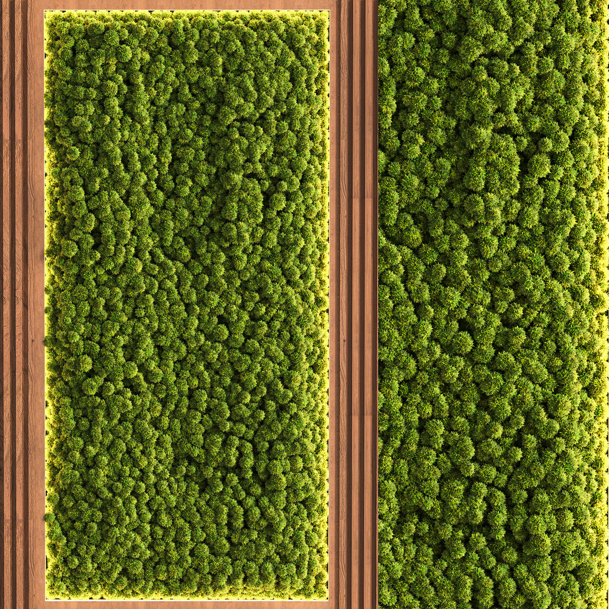 Wooden Planks Vertical Garden and Mosswalls 3D model_1