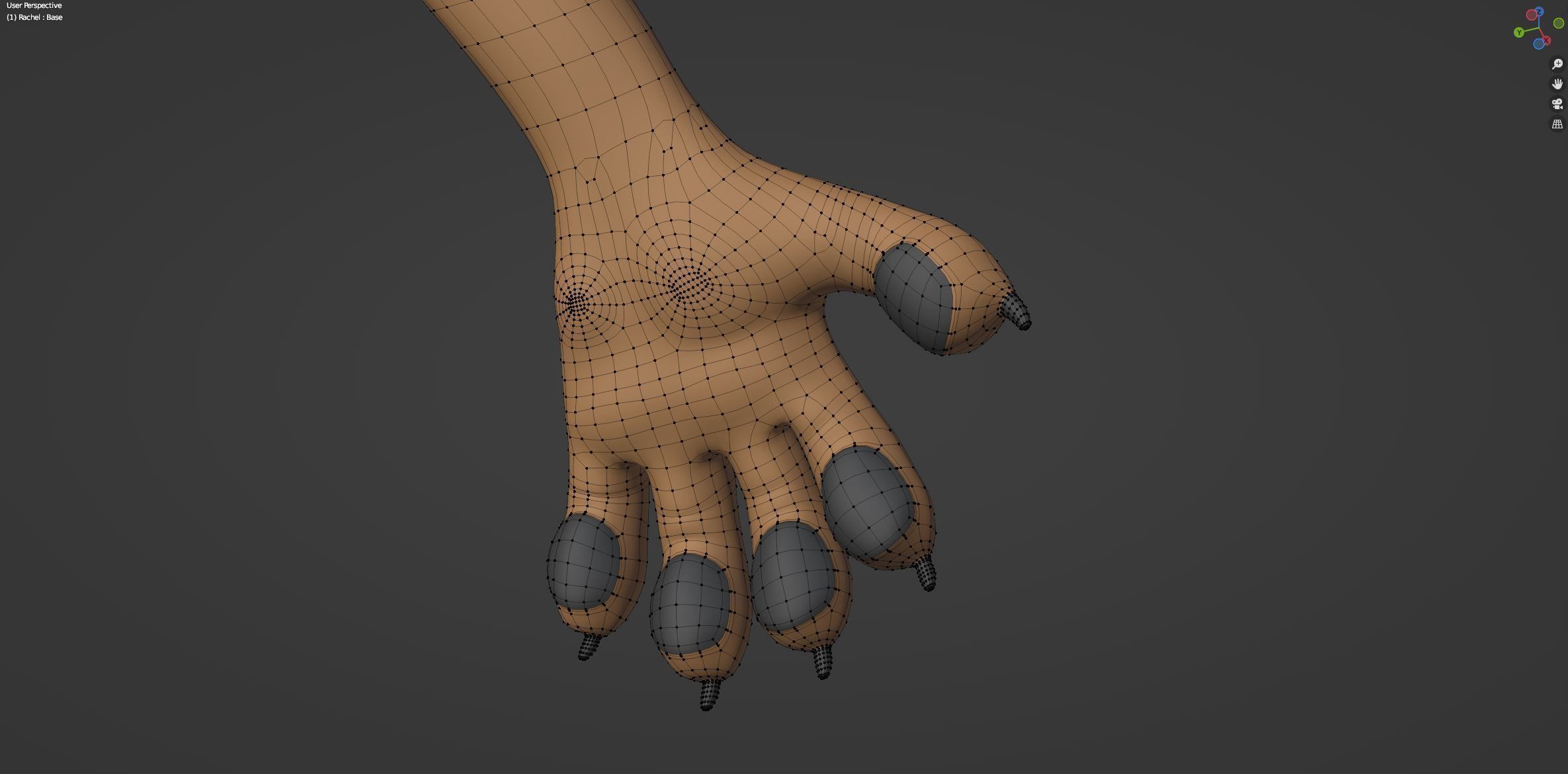 Rachel Anthro Dingo 3D model_77