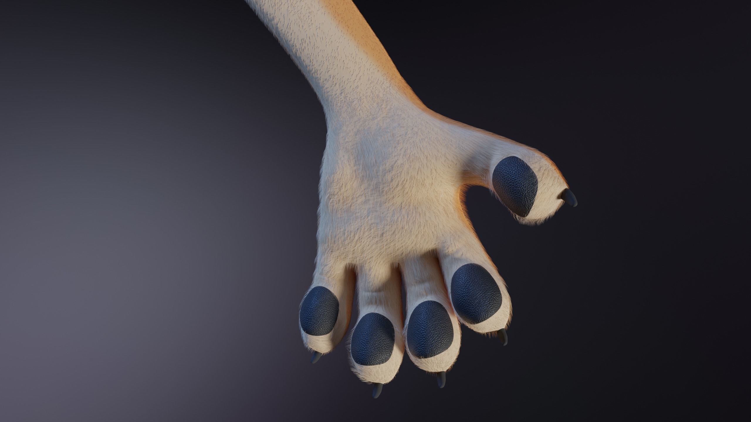 Rachel Anthro Dingo 3D model_13