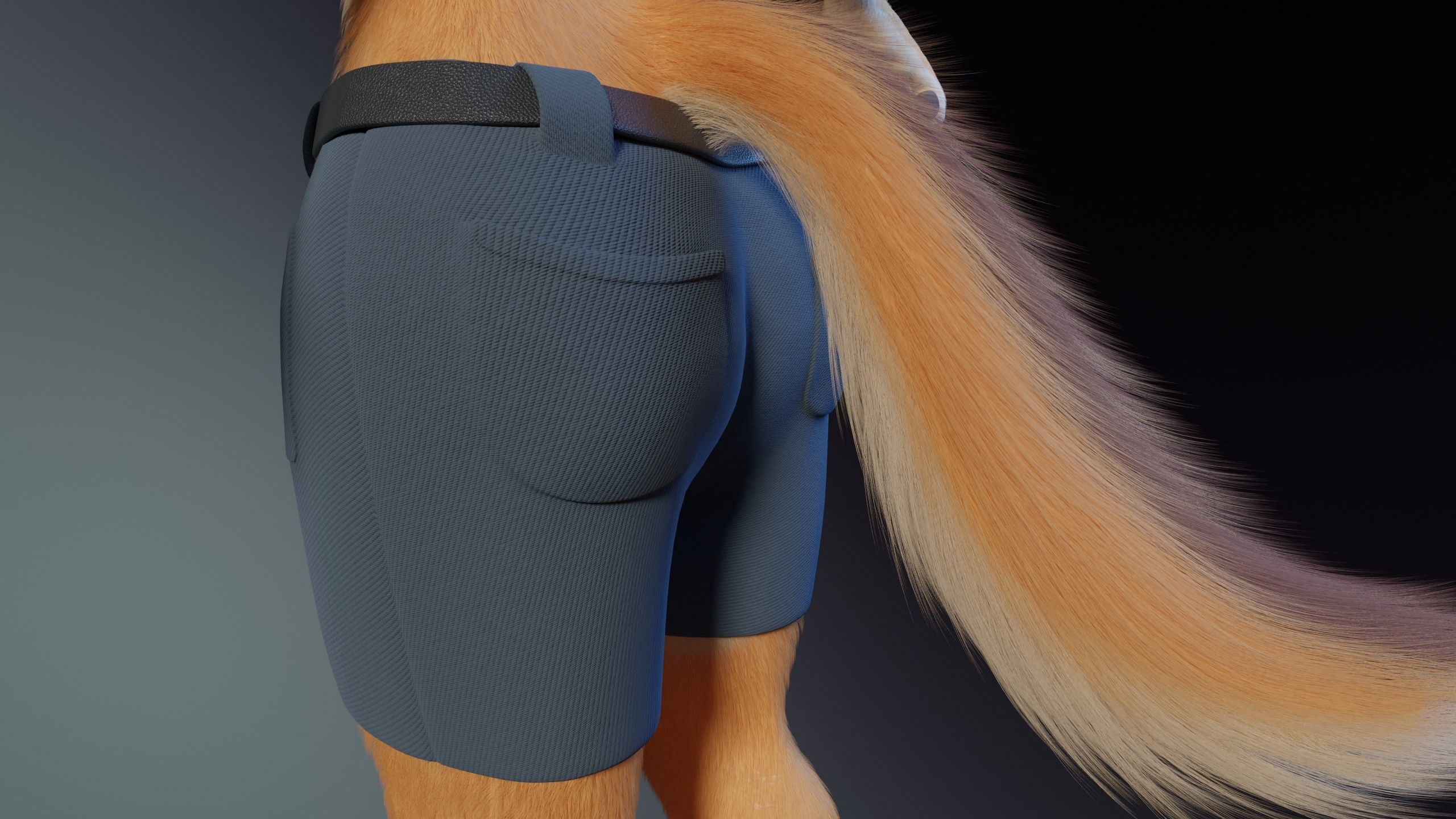 Rachel Anthro Dingo 3D model_29