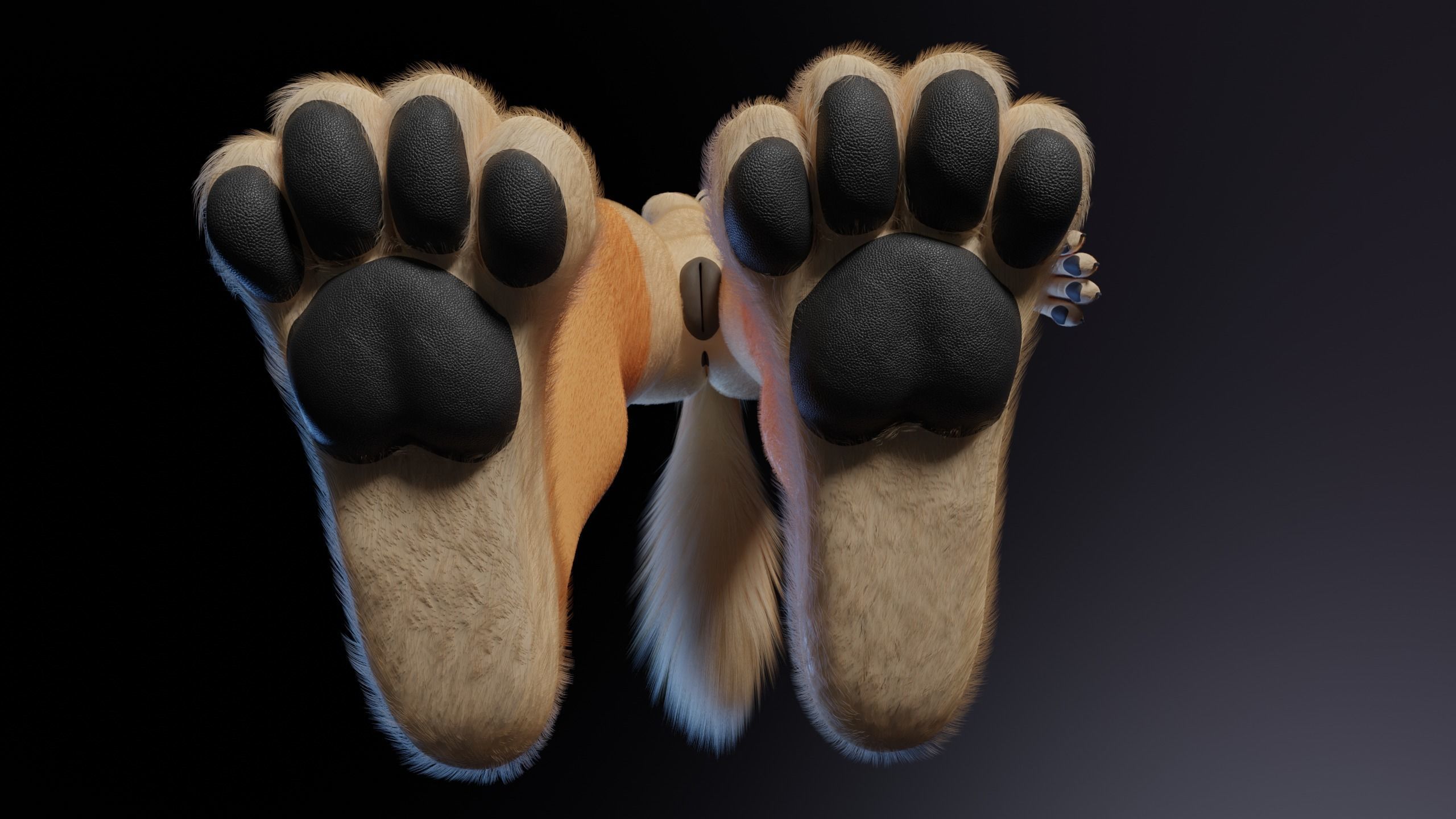 Rachel Anthro Dingo 3D model_15