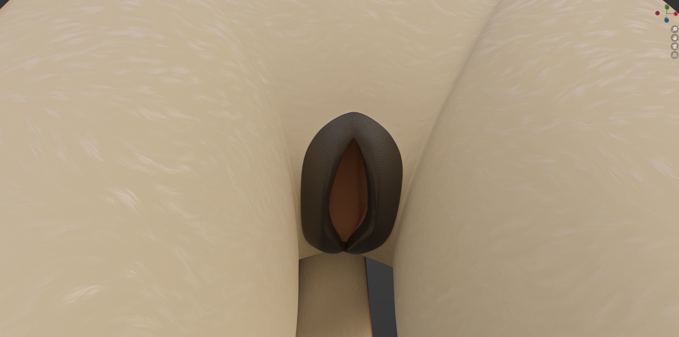 Rachel Anthro Dingo 3D model_66