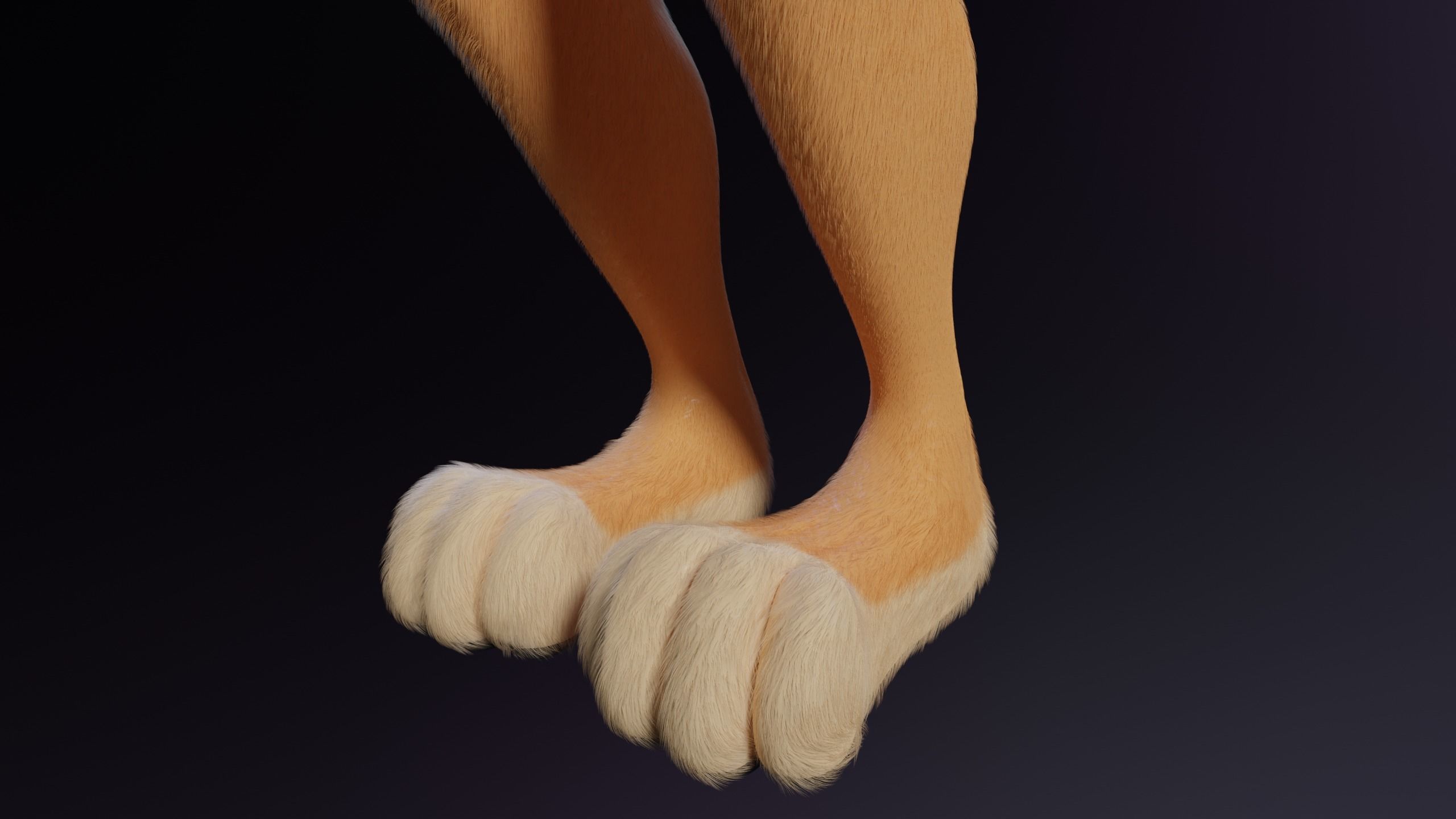 Rachel Anthro Dingo 3D model_14