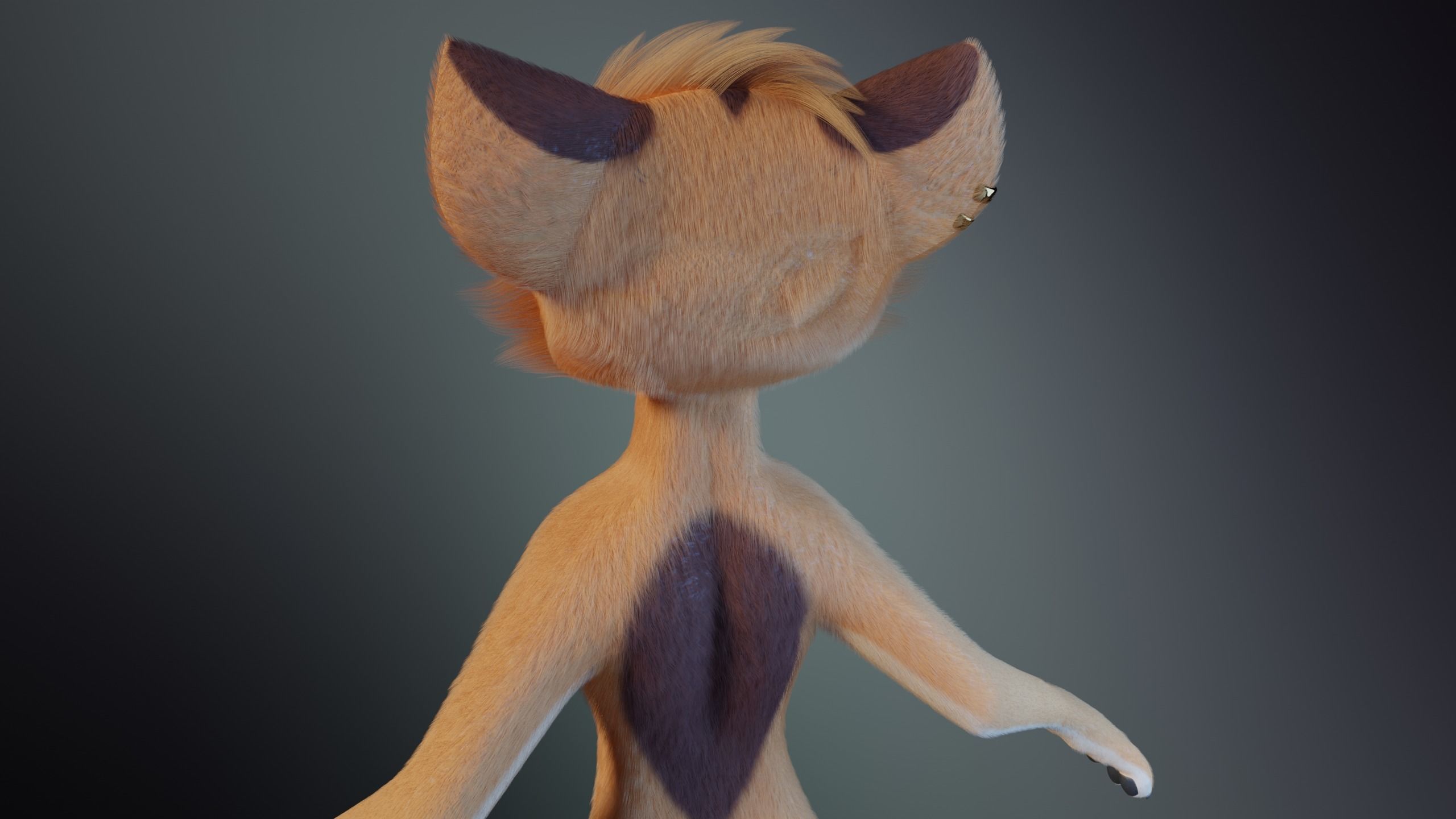 Rachel Anthro Dingo 3D model_6