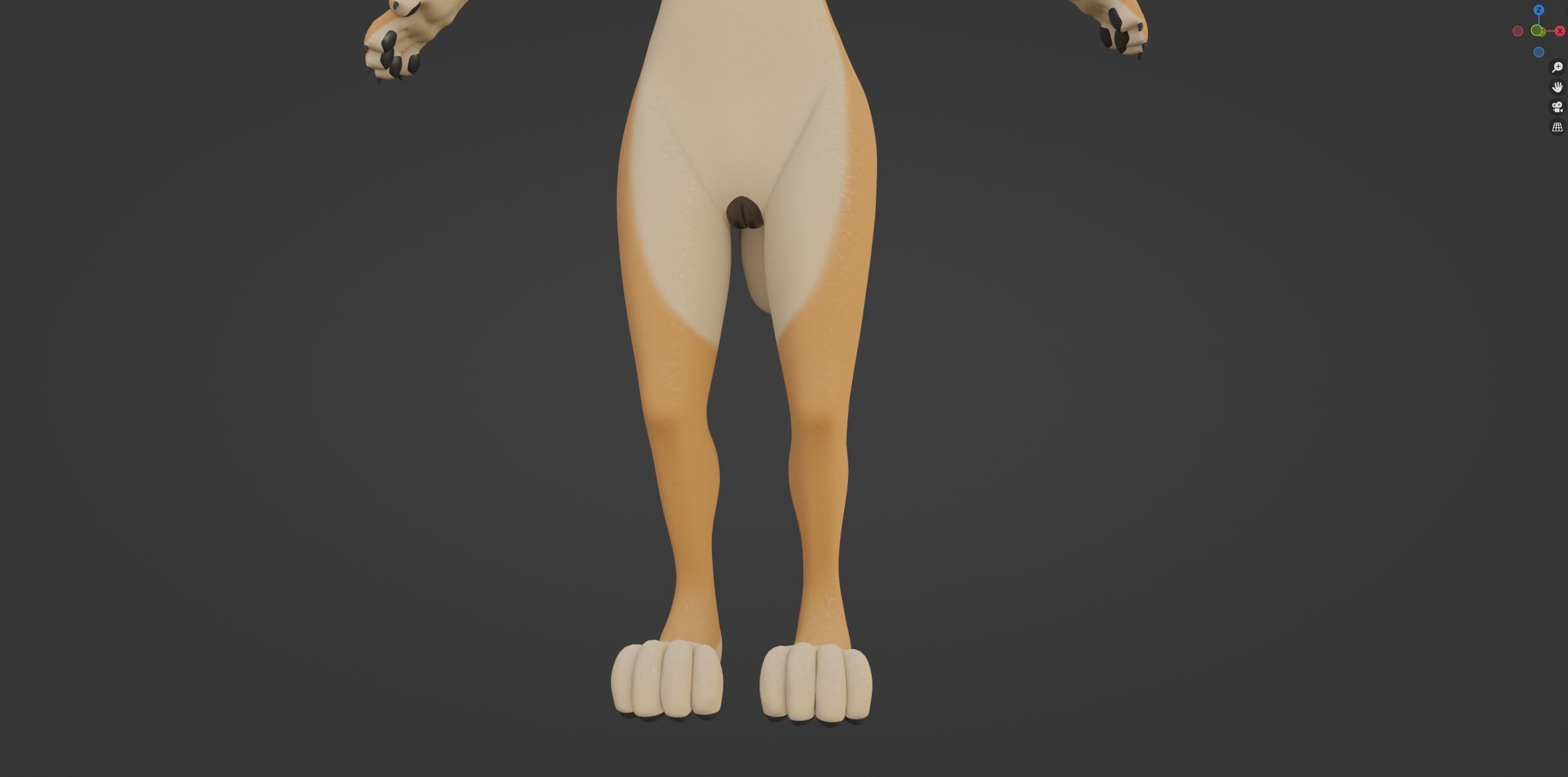 Rachel Anthro Dingo 3D model_59