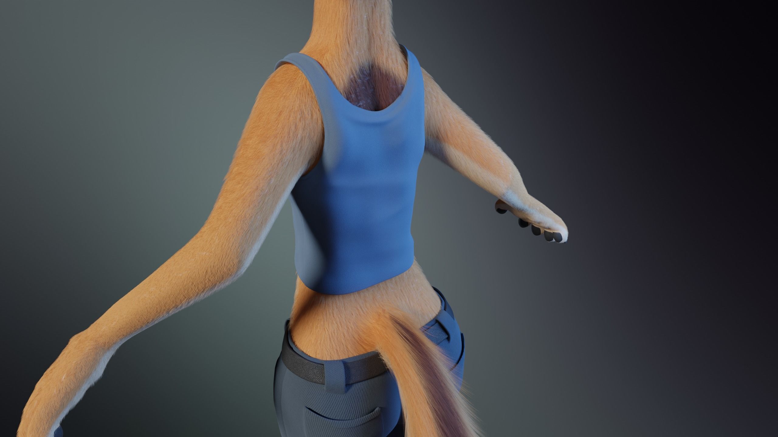 Rachel Anthro Dingo 3D model_31