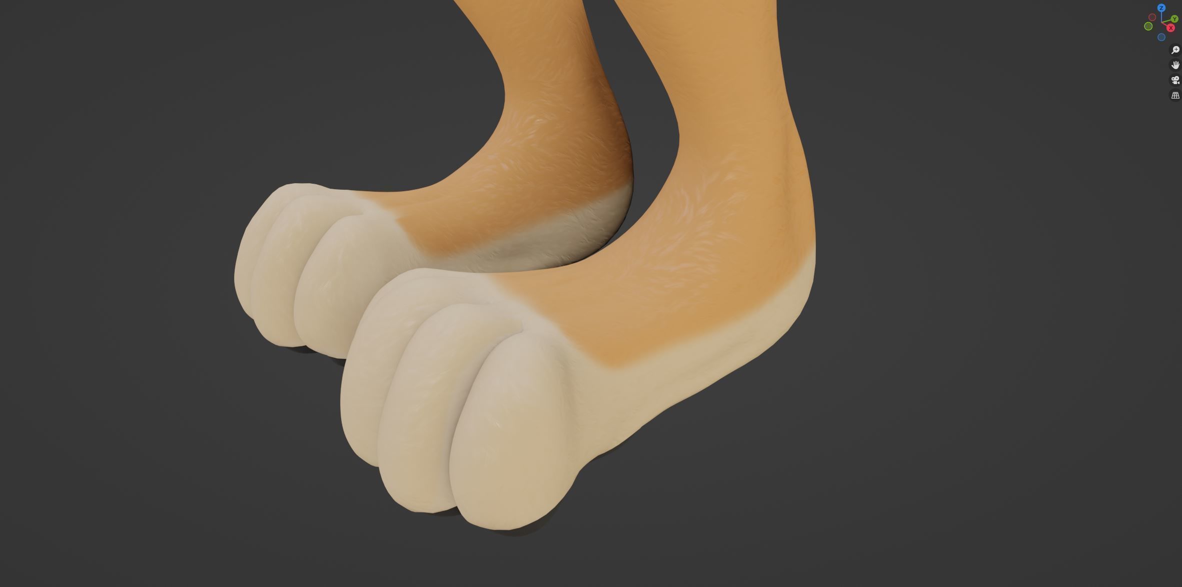 Rachel Anthro Dingo 3D model_62