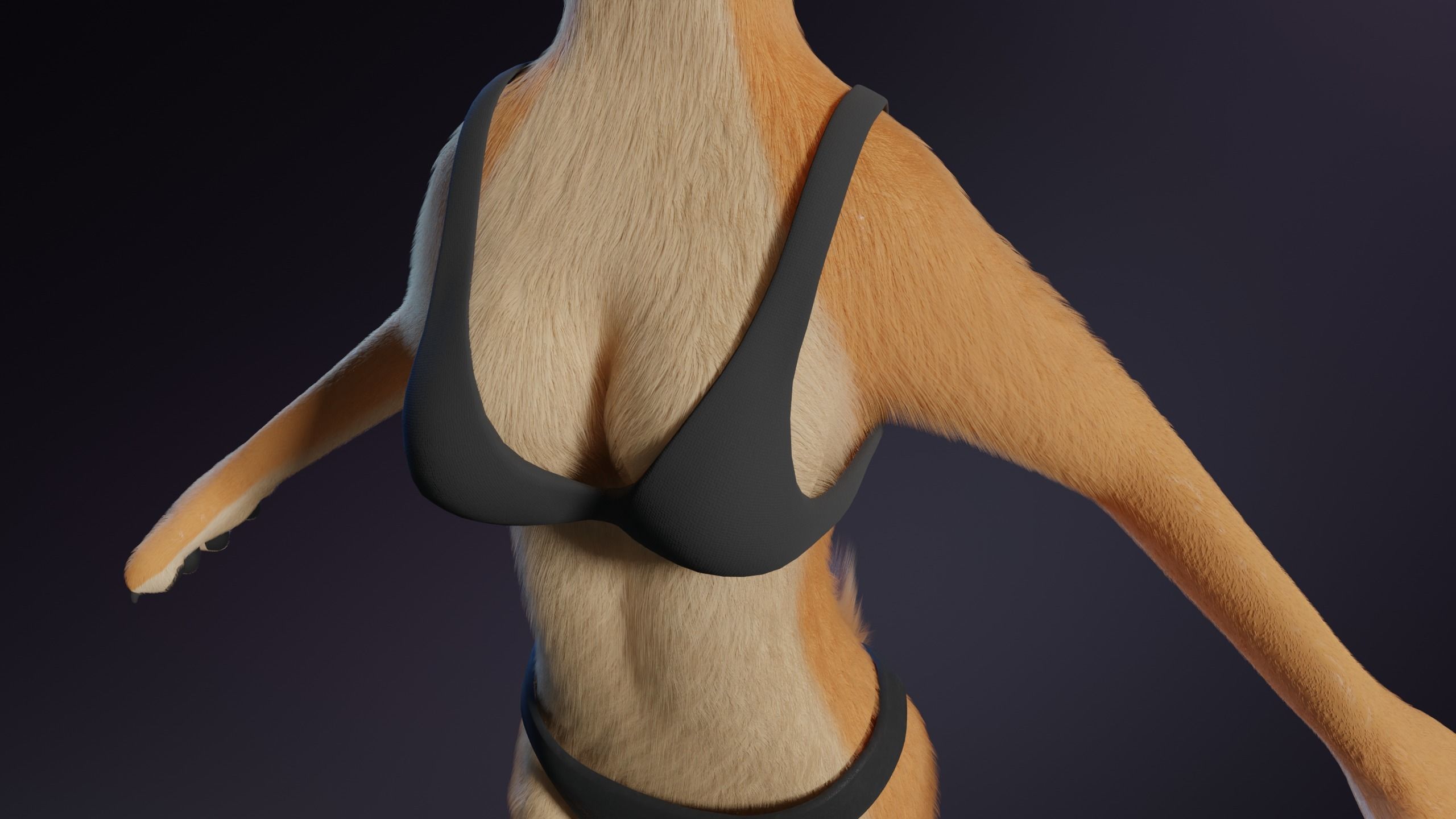 Rachel Anthro Dingo 3D model_26