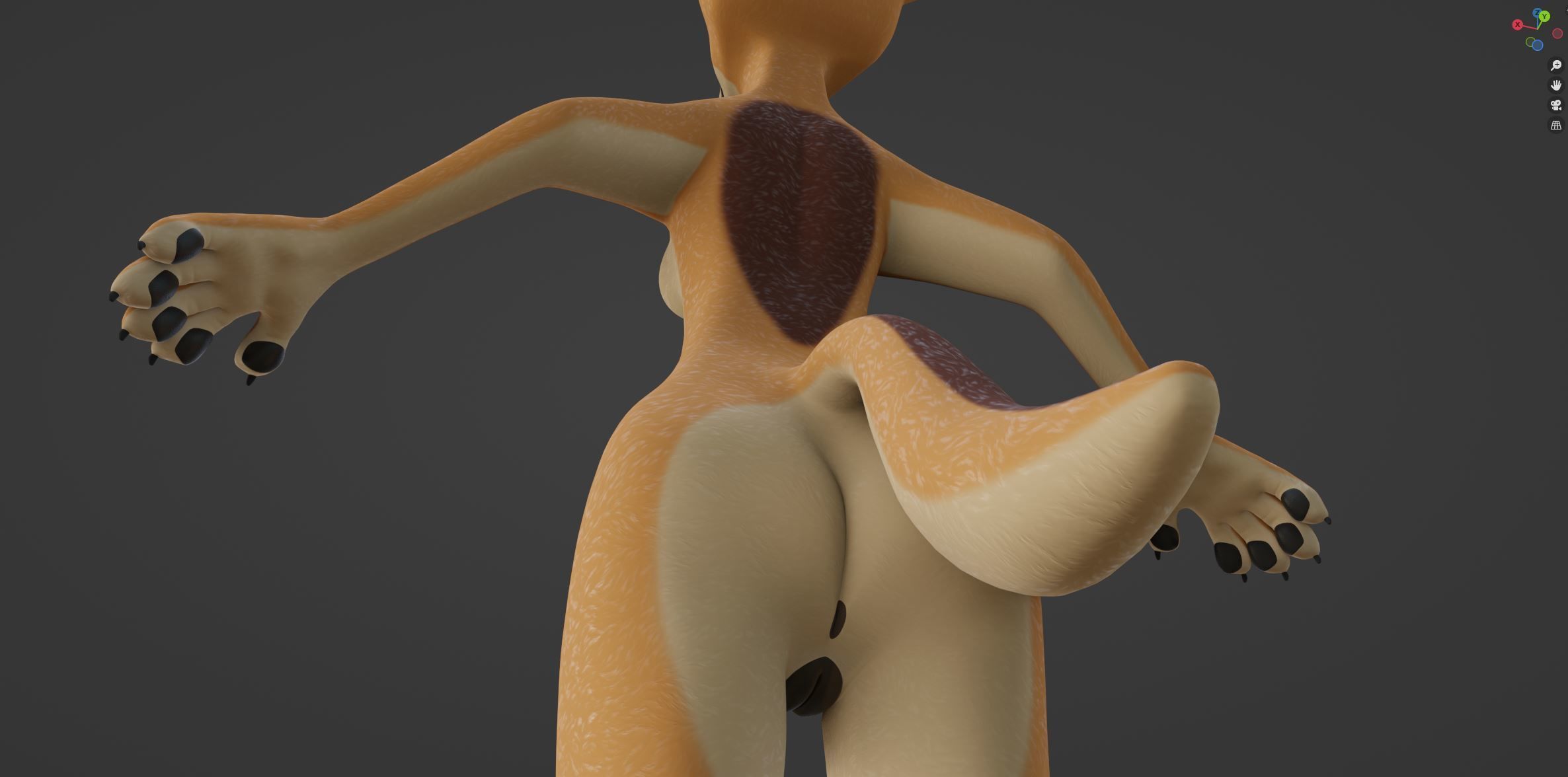 Rachel Anthro Dingo 3D model_57