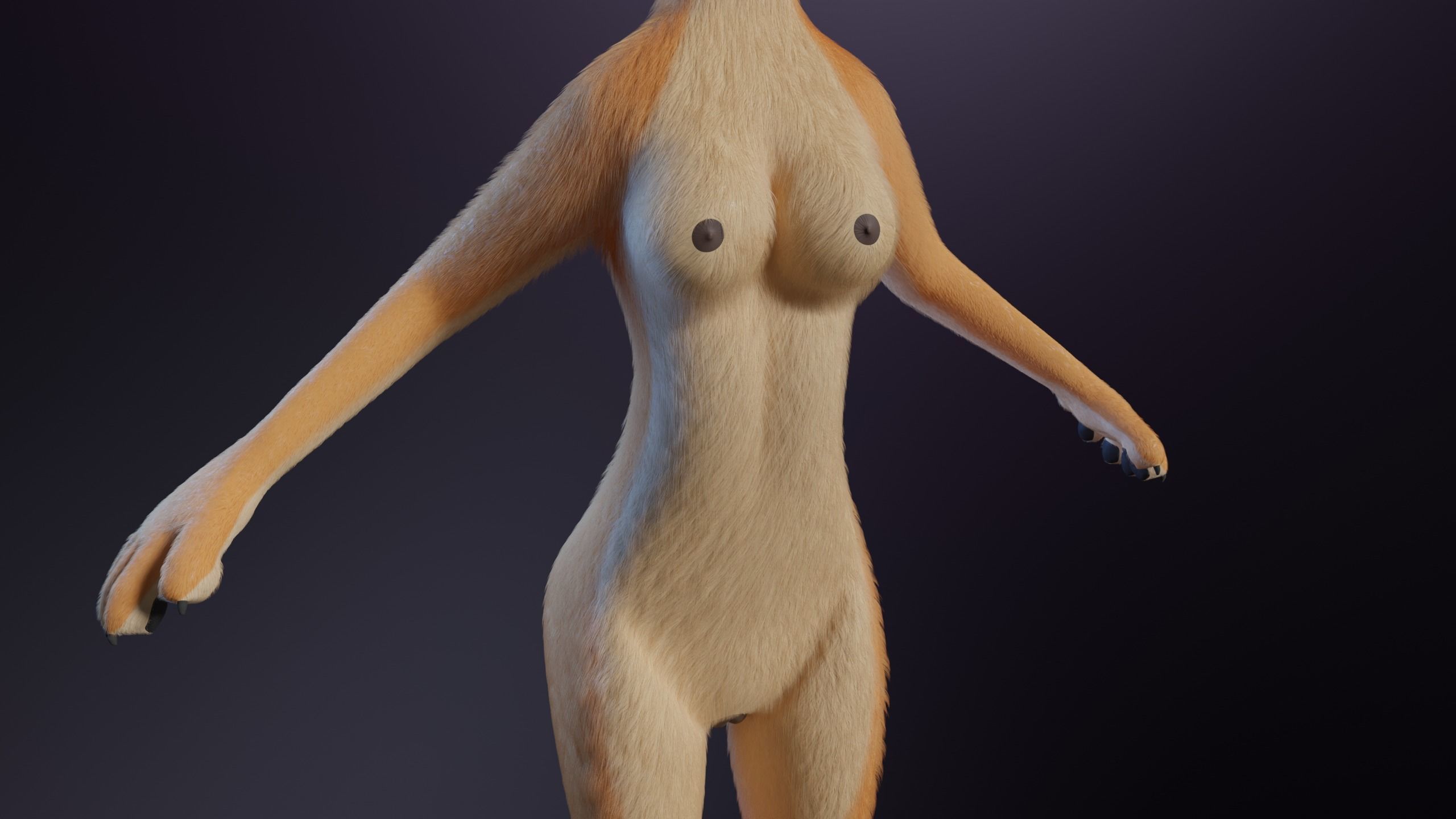 Rachel Anthro Dingo 3D model_7