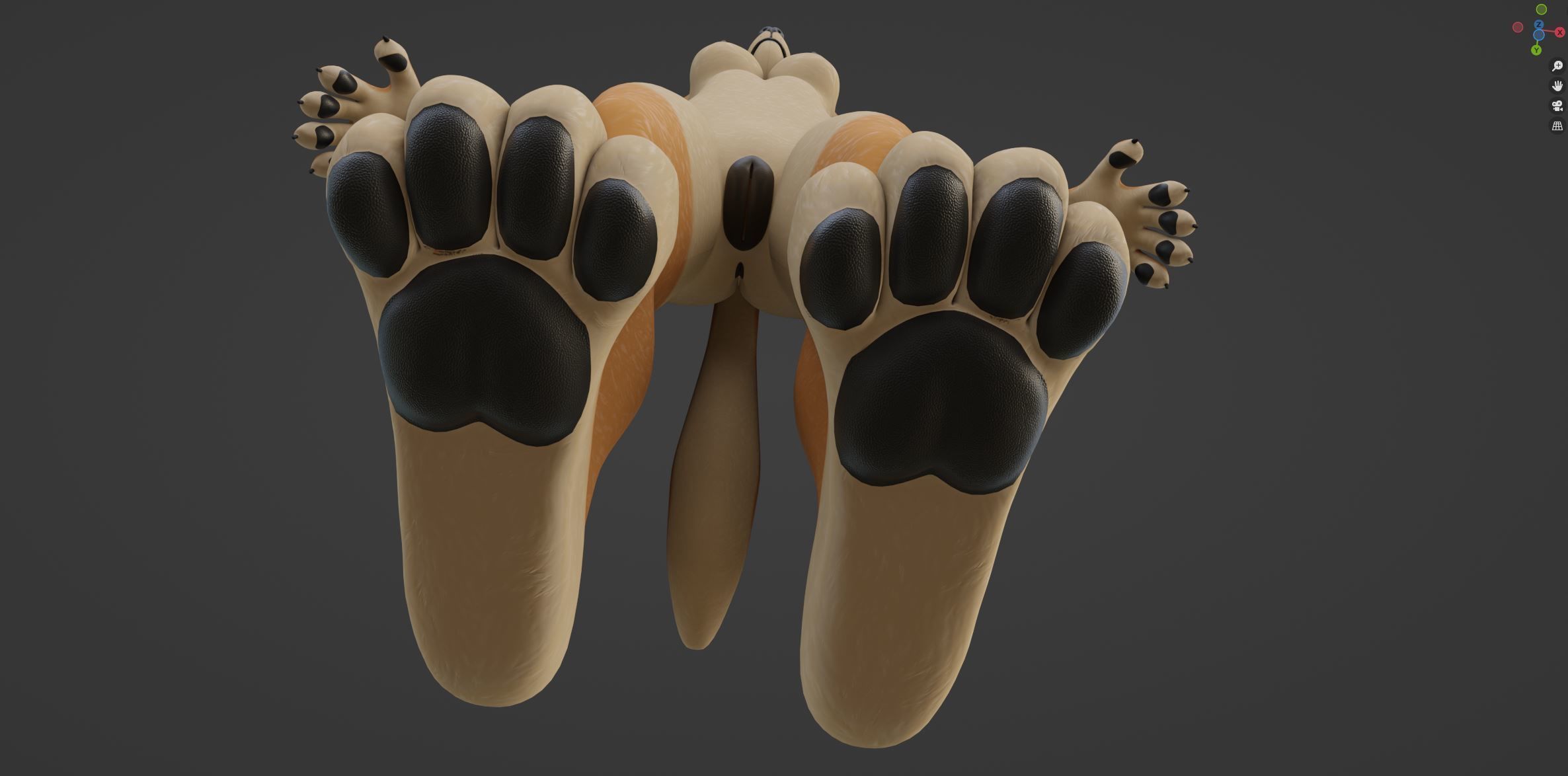 Rachel Anthro Dingo 3D model_63