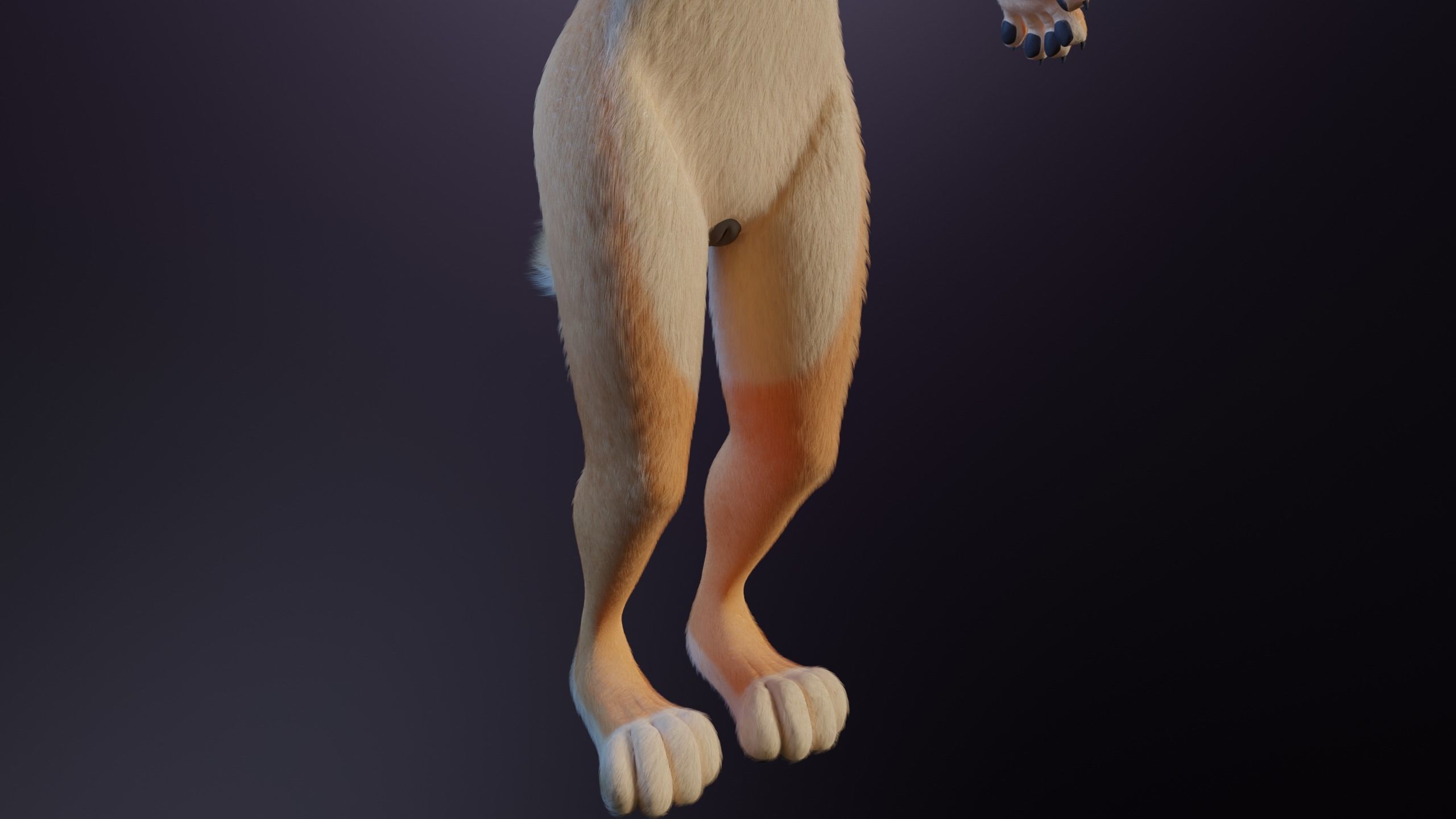 Rachel Anthro Dingo 3D model_9