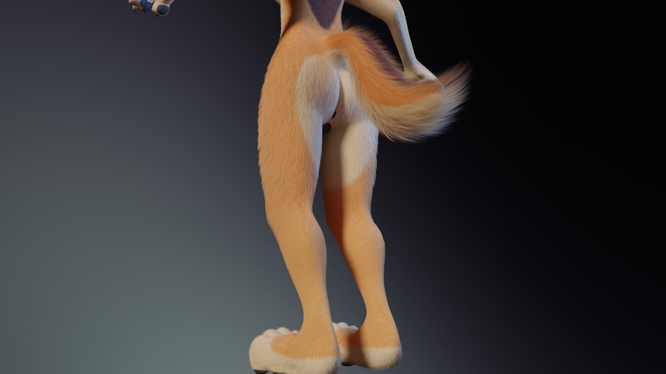 Rachel Anthro Dingo 3D model_10