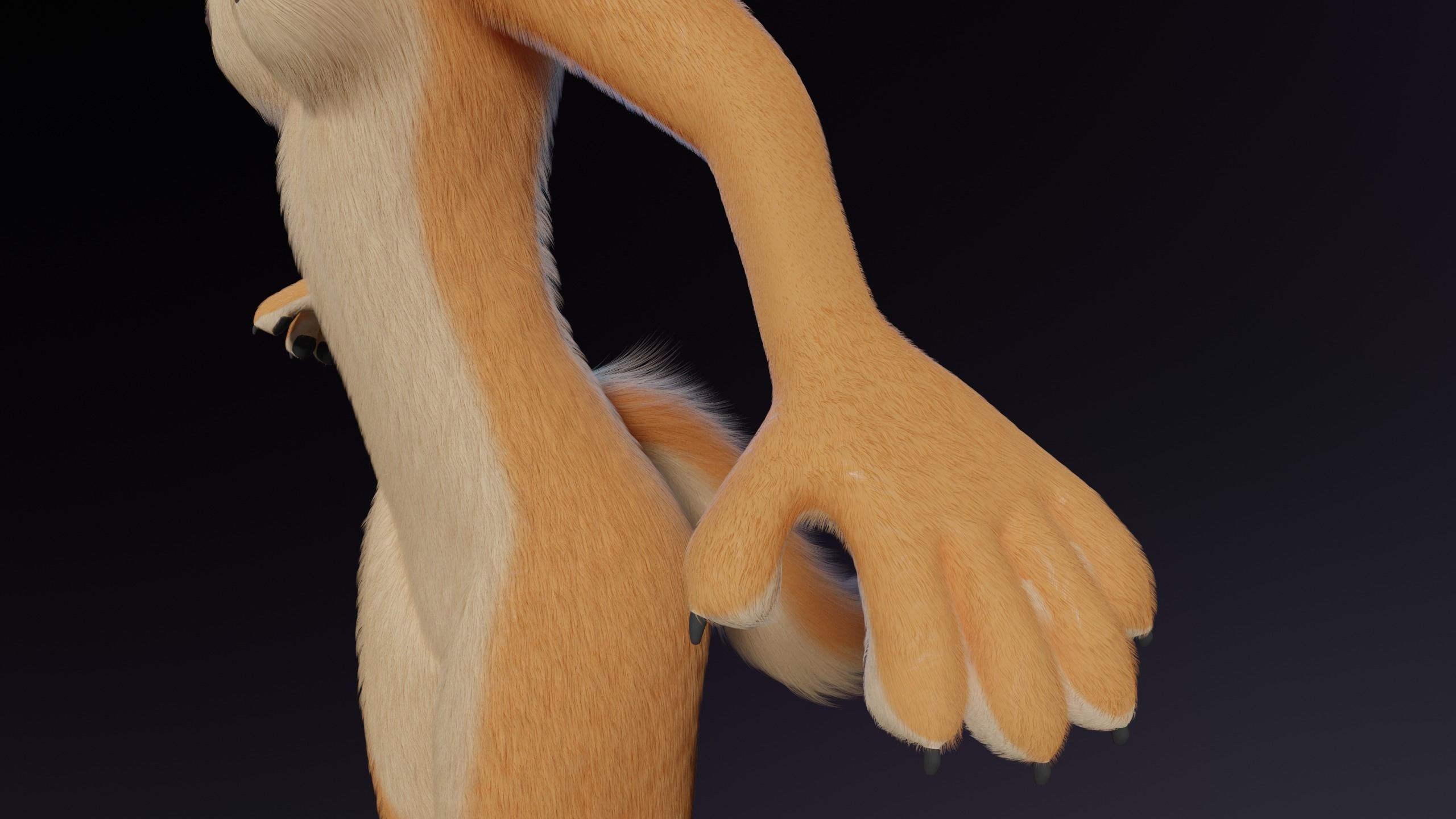 Rachel Anthro Dingo 3D model_12