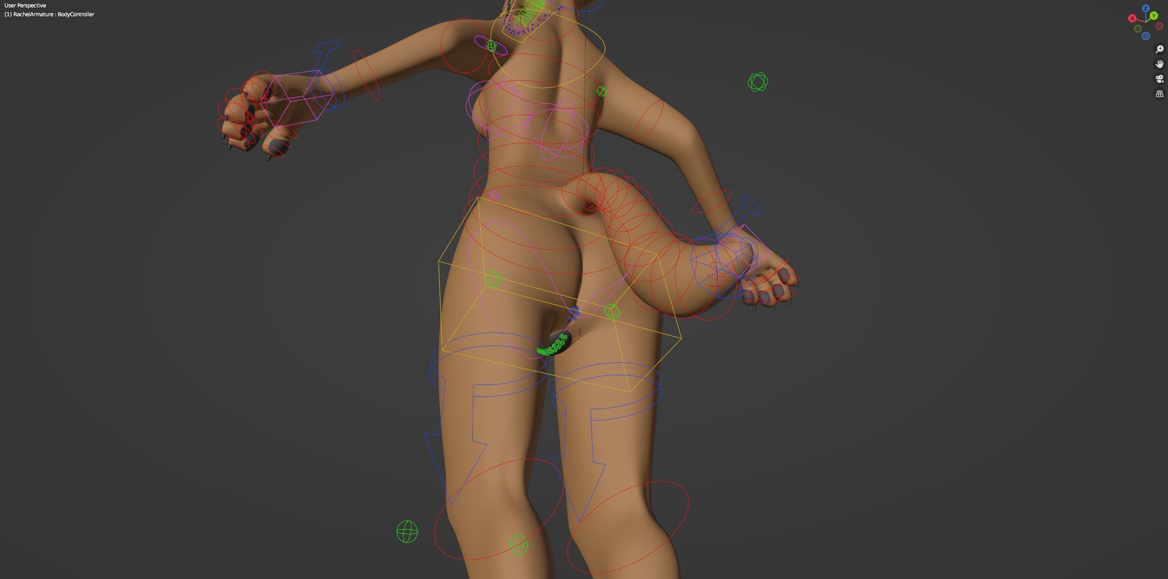 Rachel Anthro Dingo 3D model_48