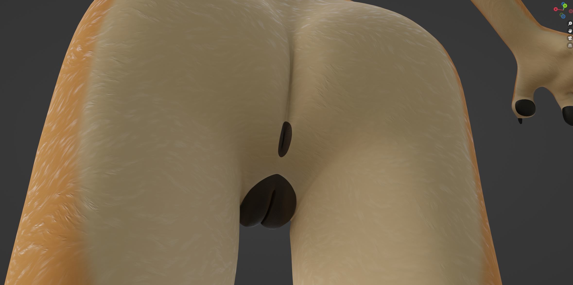 Rachel Anthro Dingo 3D model_64