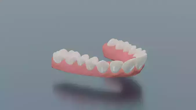 Dental upper jaw 3D scanned mouth with separated teeth  3D print model