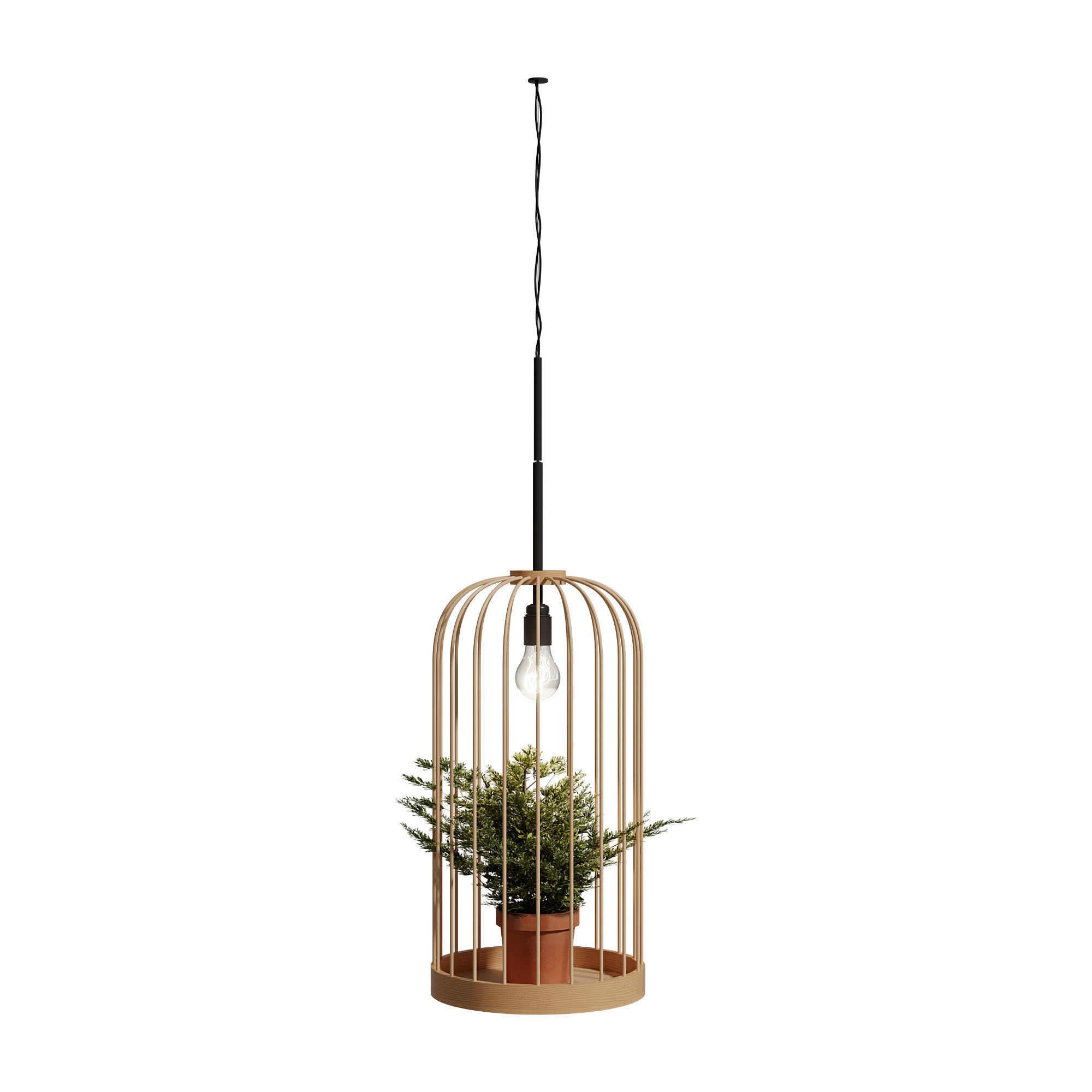 Illustration of Macaw Parrot Cages With Overhead Lighting Systems