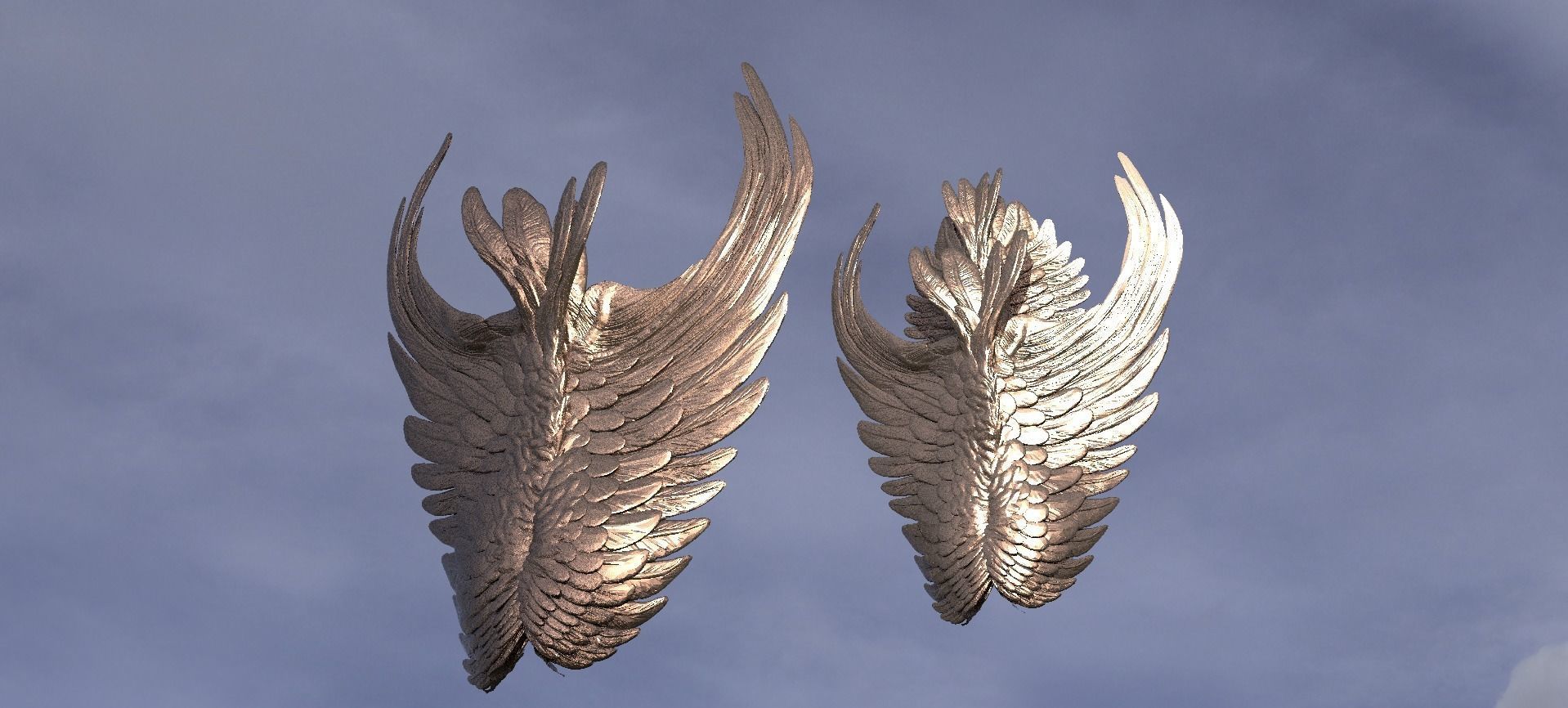 Angel Wing Shields 3D model_1