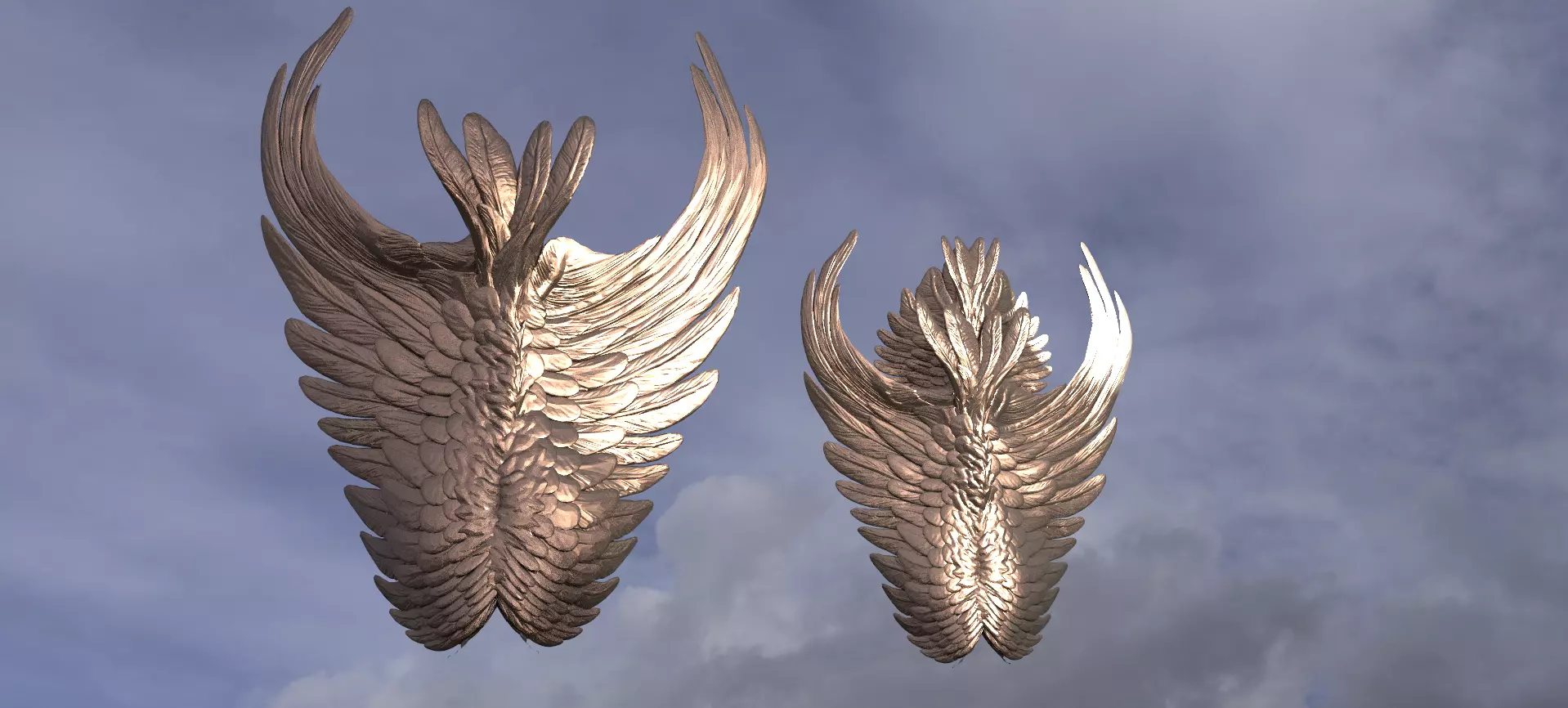 Angel Wing Shields 3D model_0