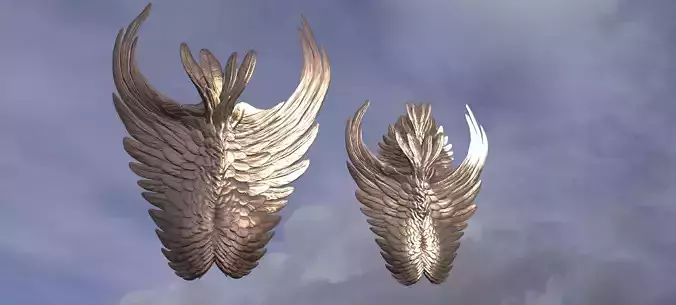Angel Wing Shields 3D model