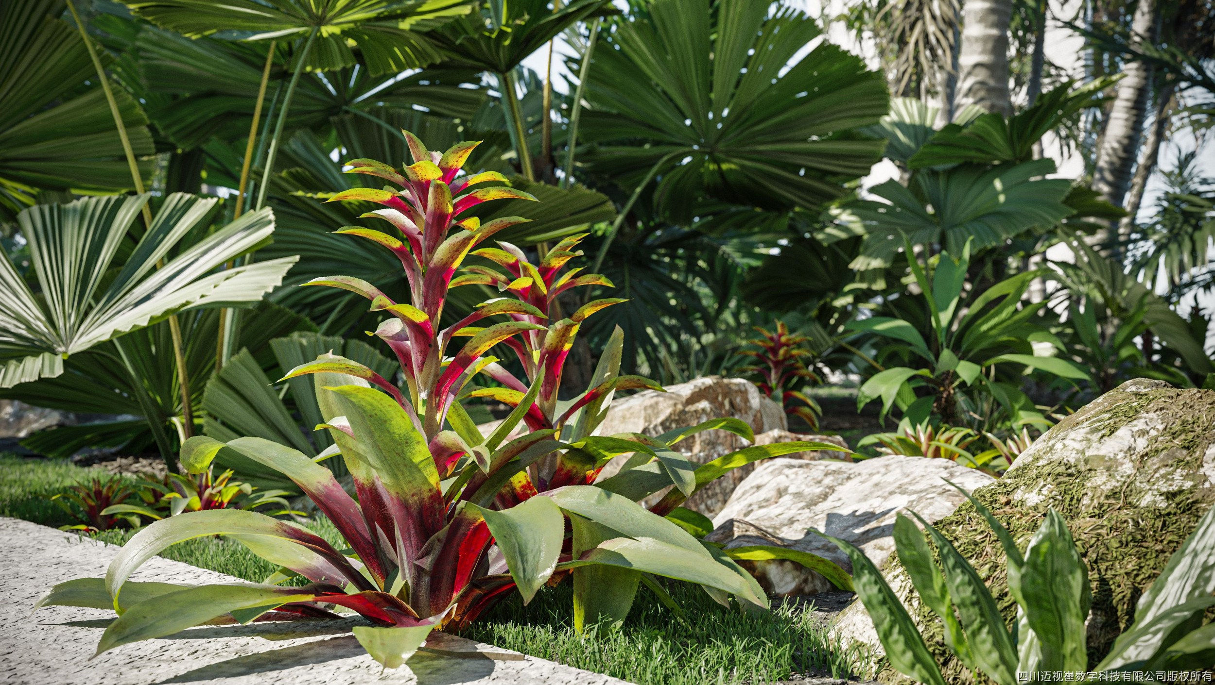 Maxtree Plant Models Vol 18 - Mesh 3D model_2