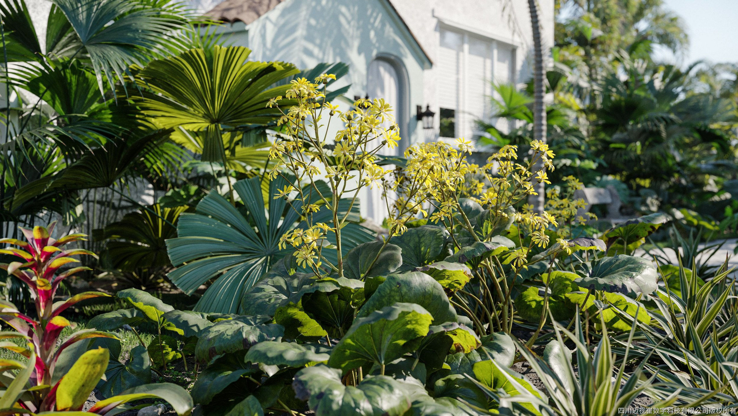 Maxtree Plant Models Vol 18 - Mesh 3D model_1